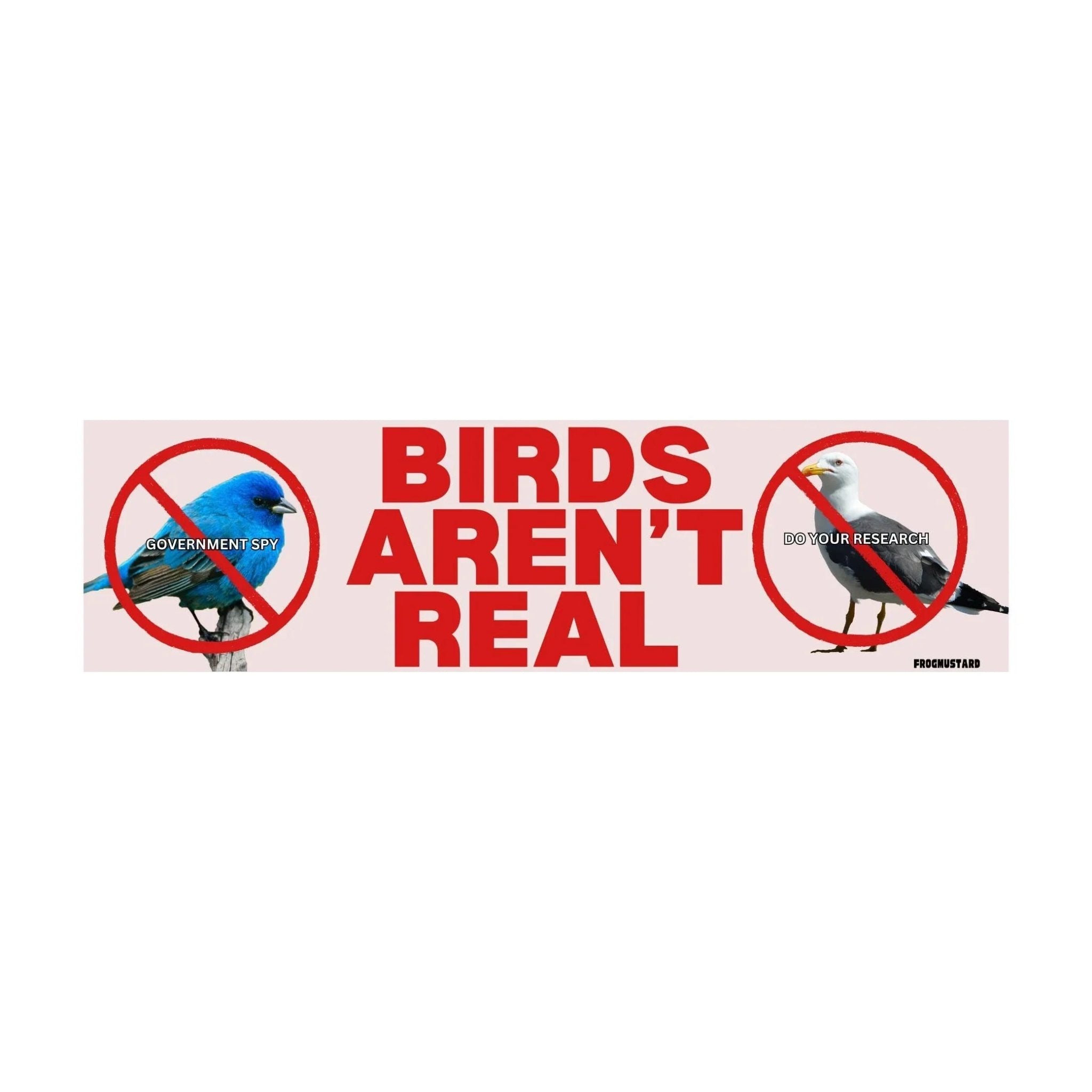 Birds Aren't Real - Frog Mustard Stickers