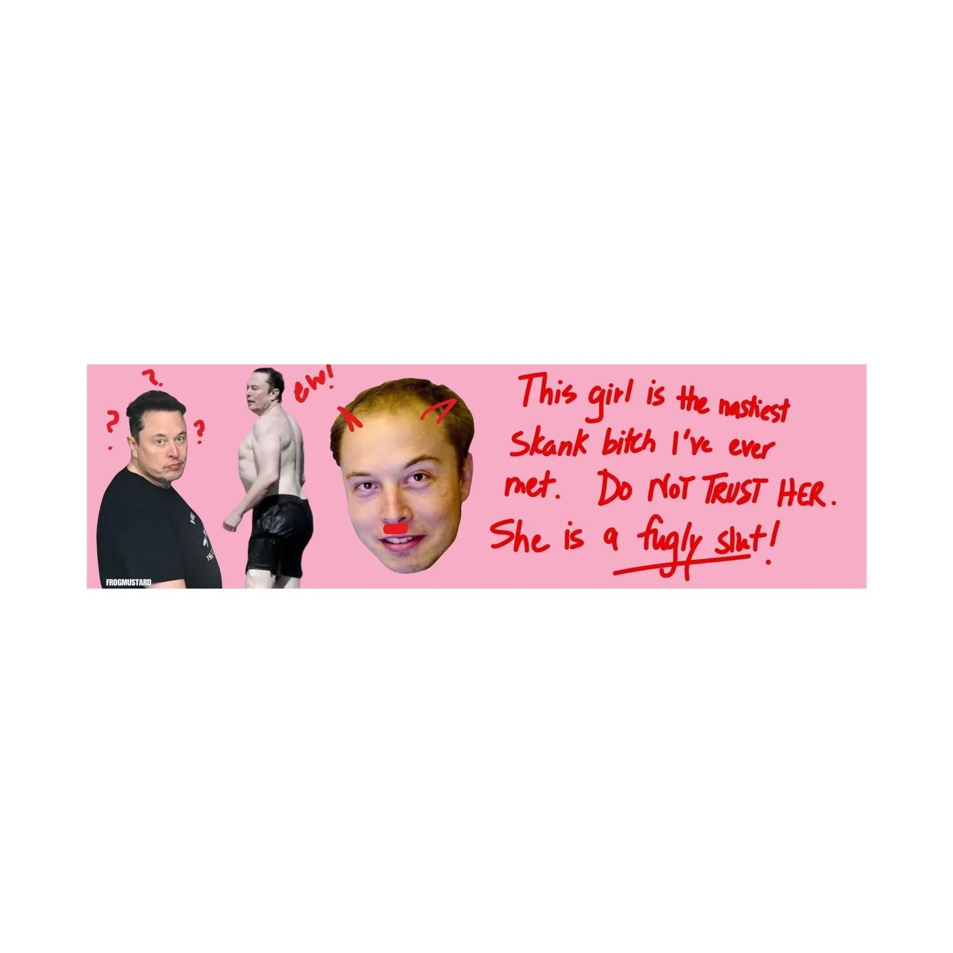 Elon Musk Burn Book Sticker (Mean Girls) Fugly Sl*t - Frog Mustard Stickers