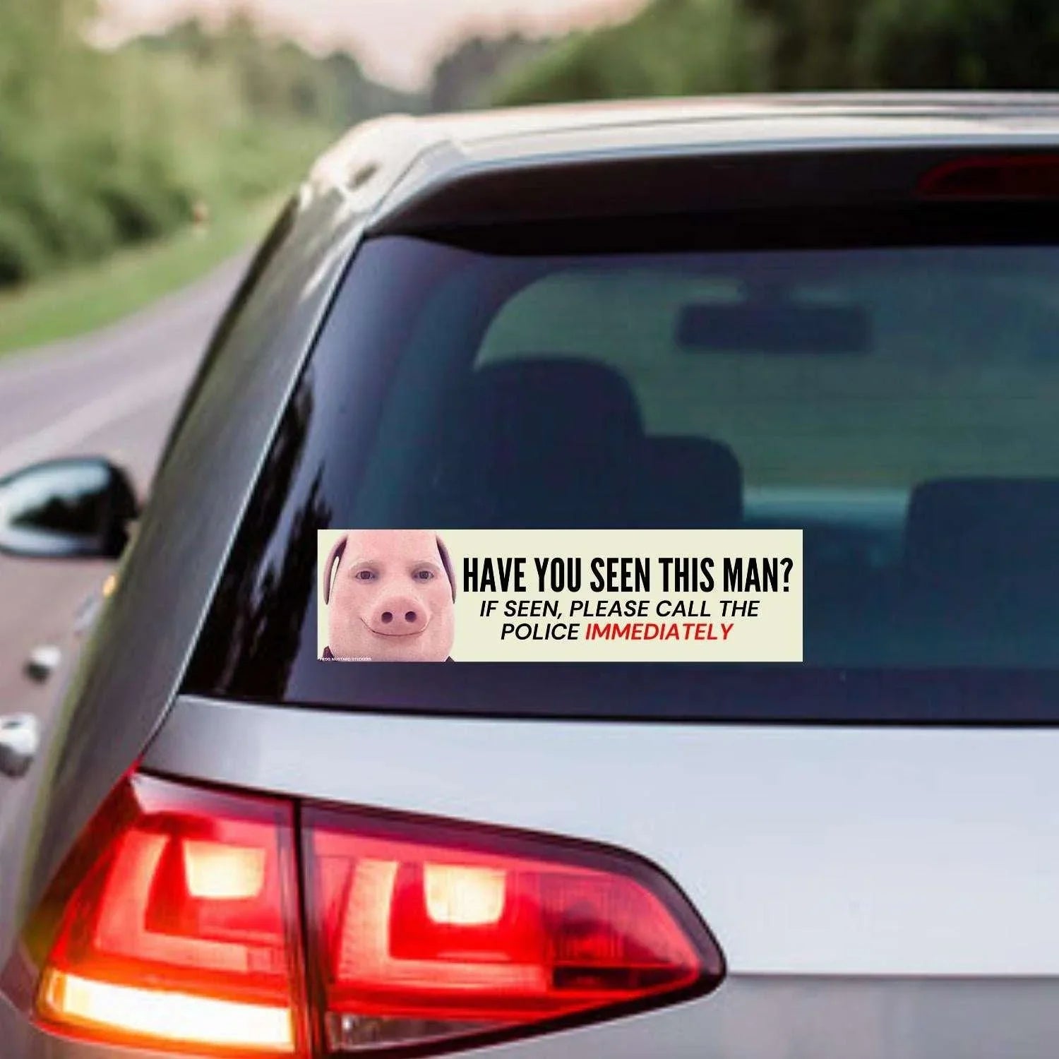 Have You Seen This Man? (John Pork) - Frog Mustard Stickers