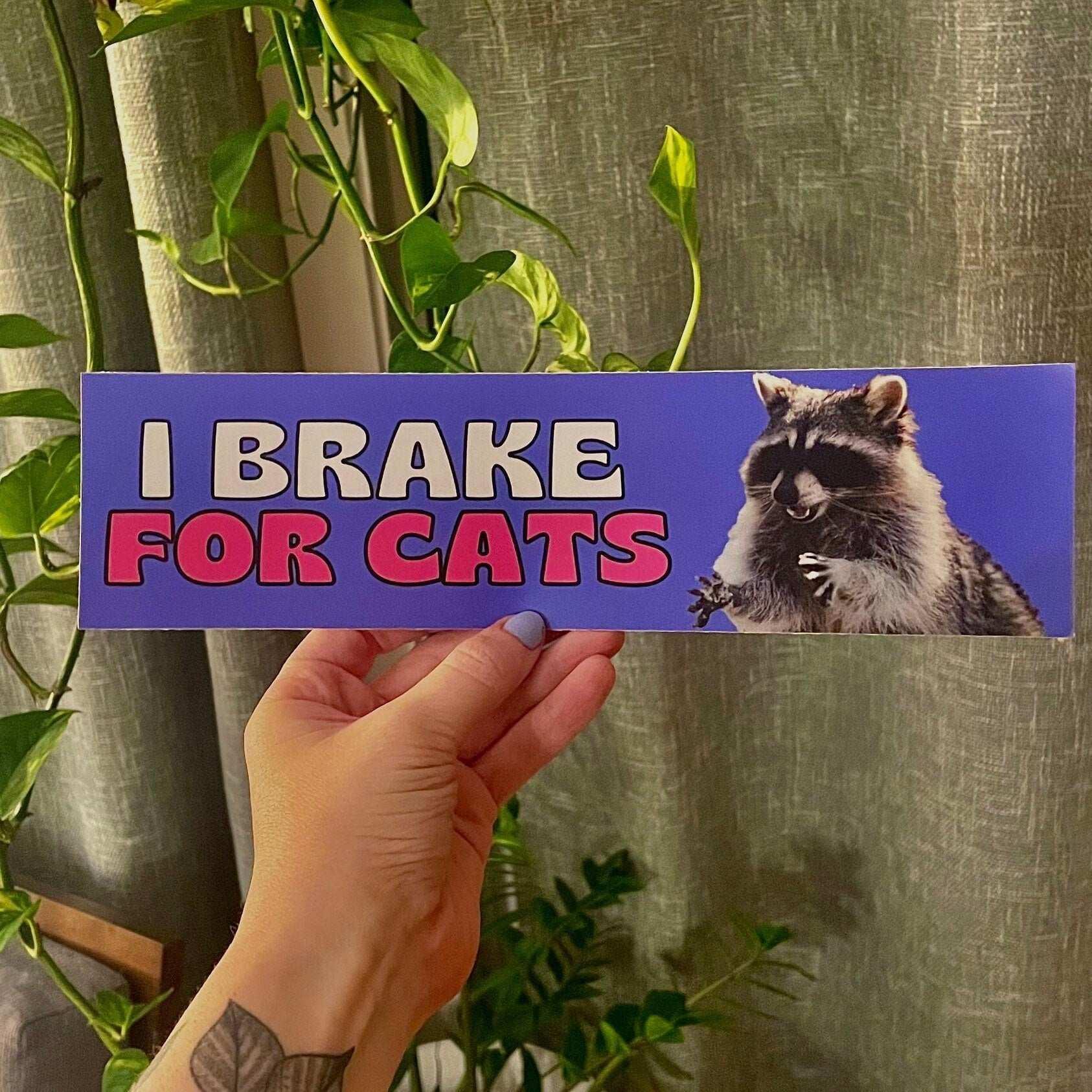 I Brake For Cats - Frog Mustard Stickers