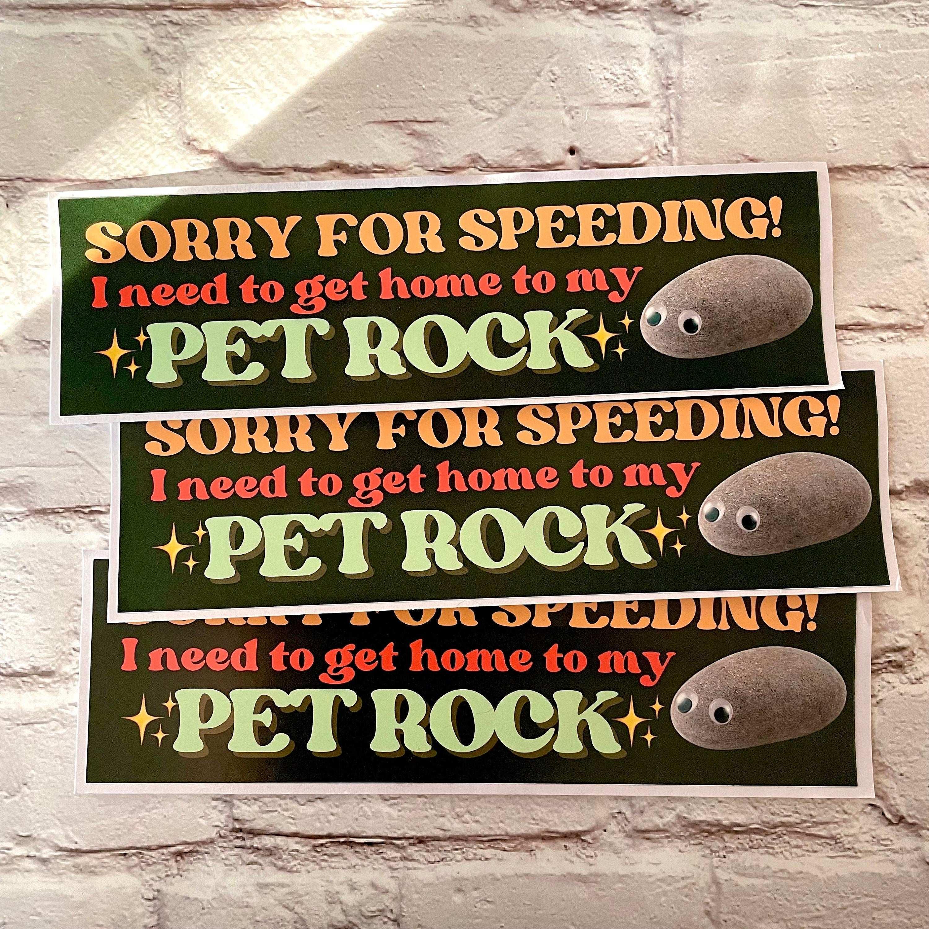 Sorry for speeding! I need to get home to my pet rock - frogmustard stickers
