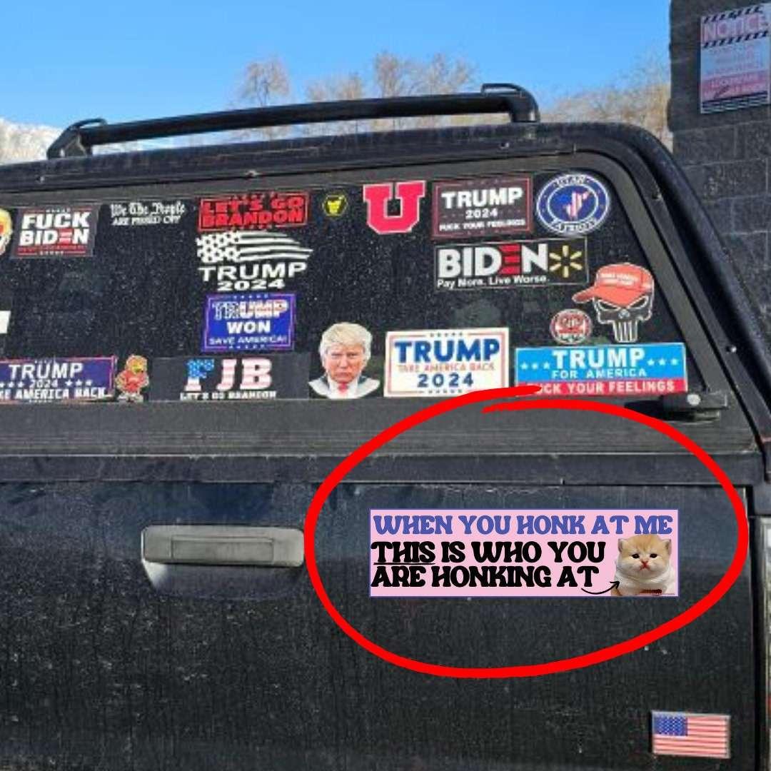 When you honk at me THIS is who you are honking at cat - frogmustard stickers