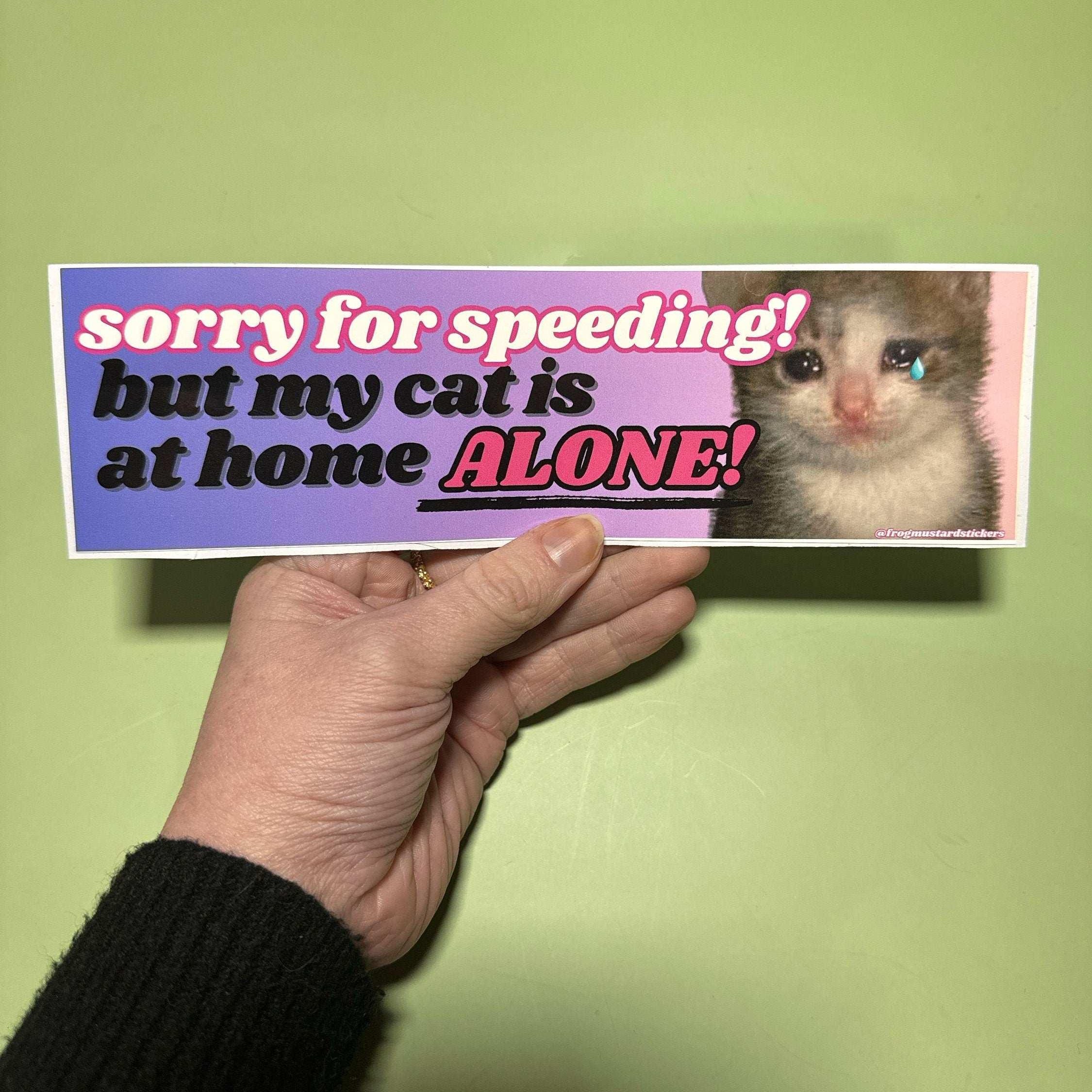 Sorry for speeding but my cat is at home alone! - frogmustard stickers