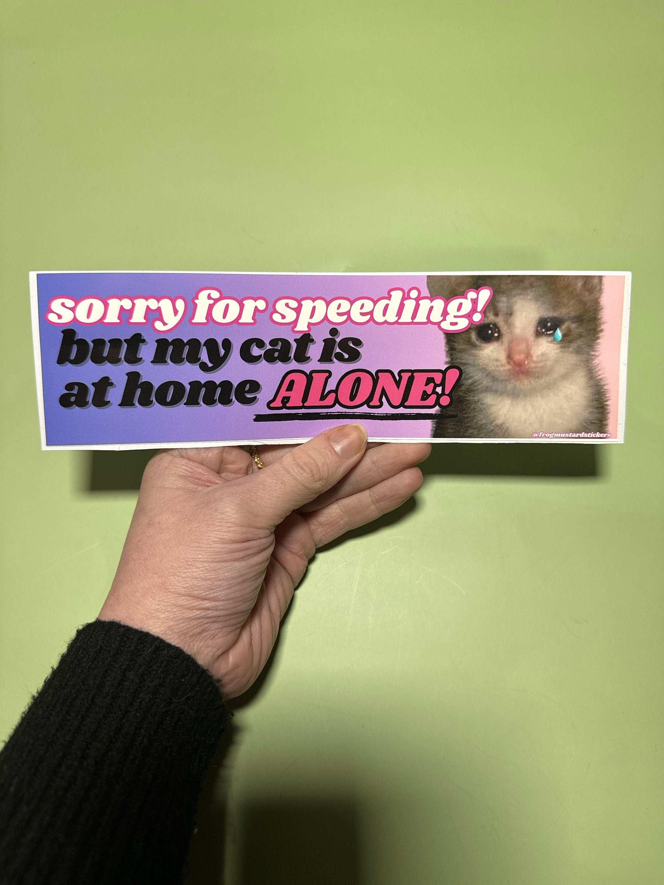 Sorry for speeding but my cat is at home alone! - frogmustard stickers