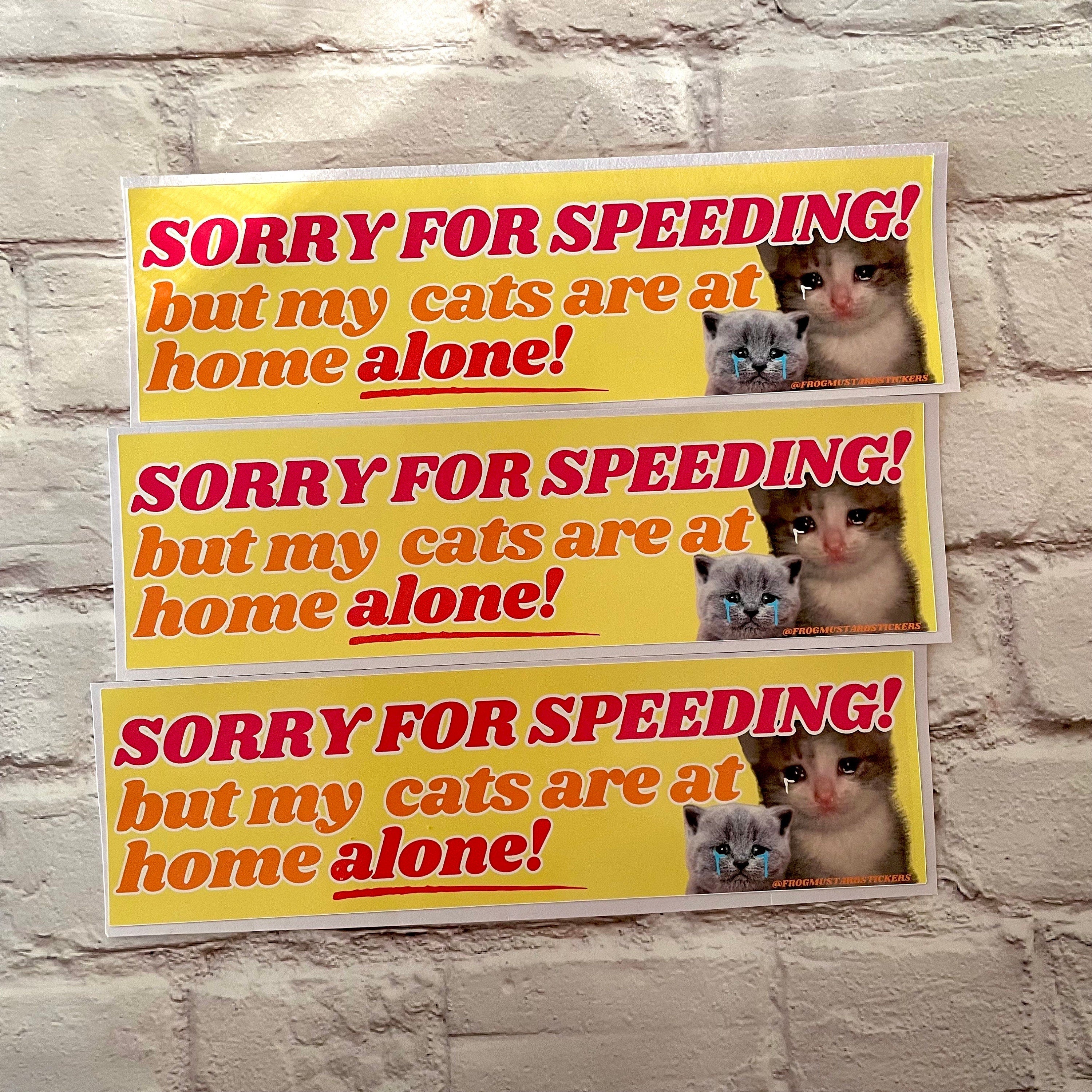 Multiple prints of 'Sorry for speeding' cats stickers.