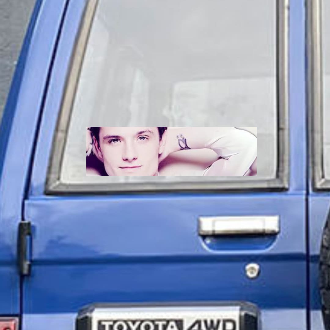 Josh Hutcherson Whistle Edit Meme - frogmustard stickers