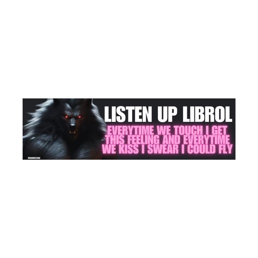 Listen Up, Librol Everytime We Touch | Unhinged | 8.5" x 2.5"| Bumper Car Sticker OR Magnet Premium Weather-proof Vinyl