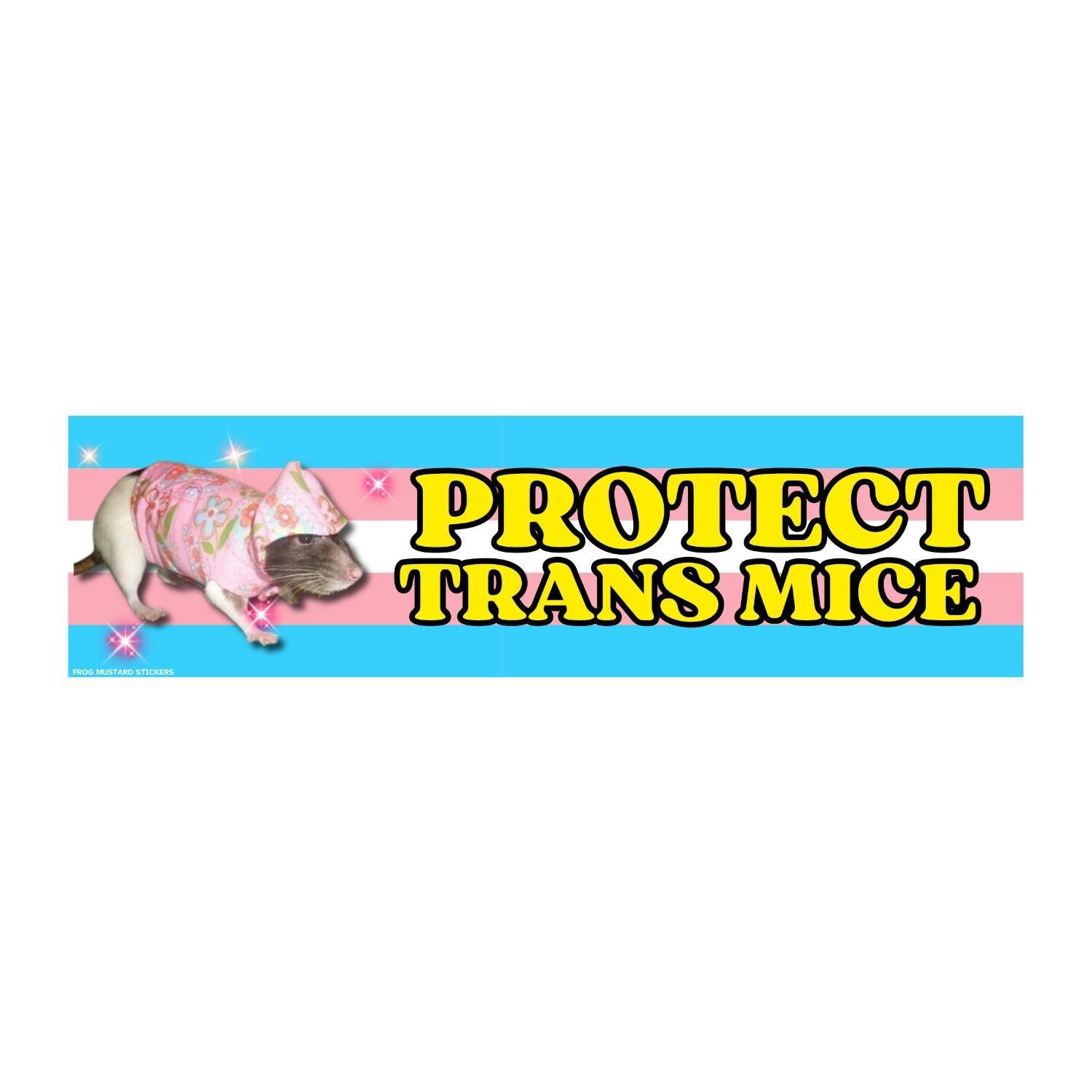 Protect Transgender Mice | Trump Mice Meme Sticker | Cute | 8.5" x 2.5" | Bumper Sticker OR Magnet