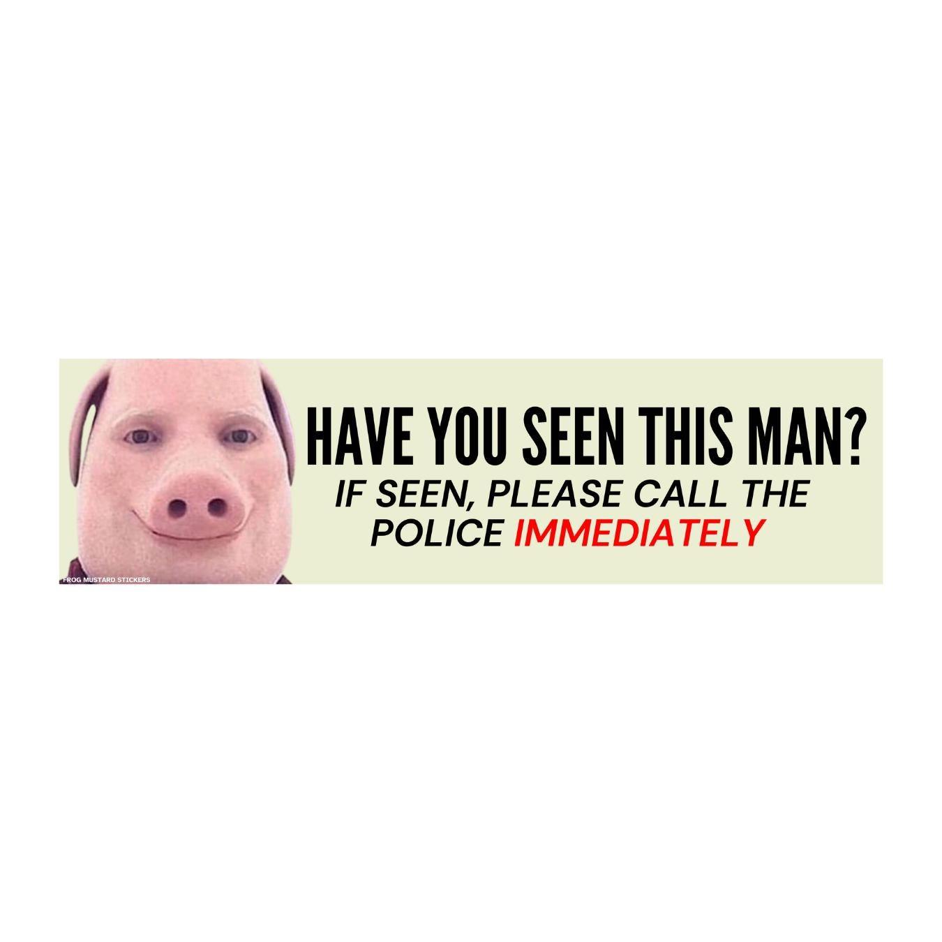 Have You Seen This Man? (John Pork) | Funny Car Sticker | Gen Z Meme | 8.5" x 2.5" | Bumper Sticker OR Magnet Premium Weather-proof Vinyl