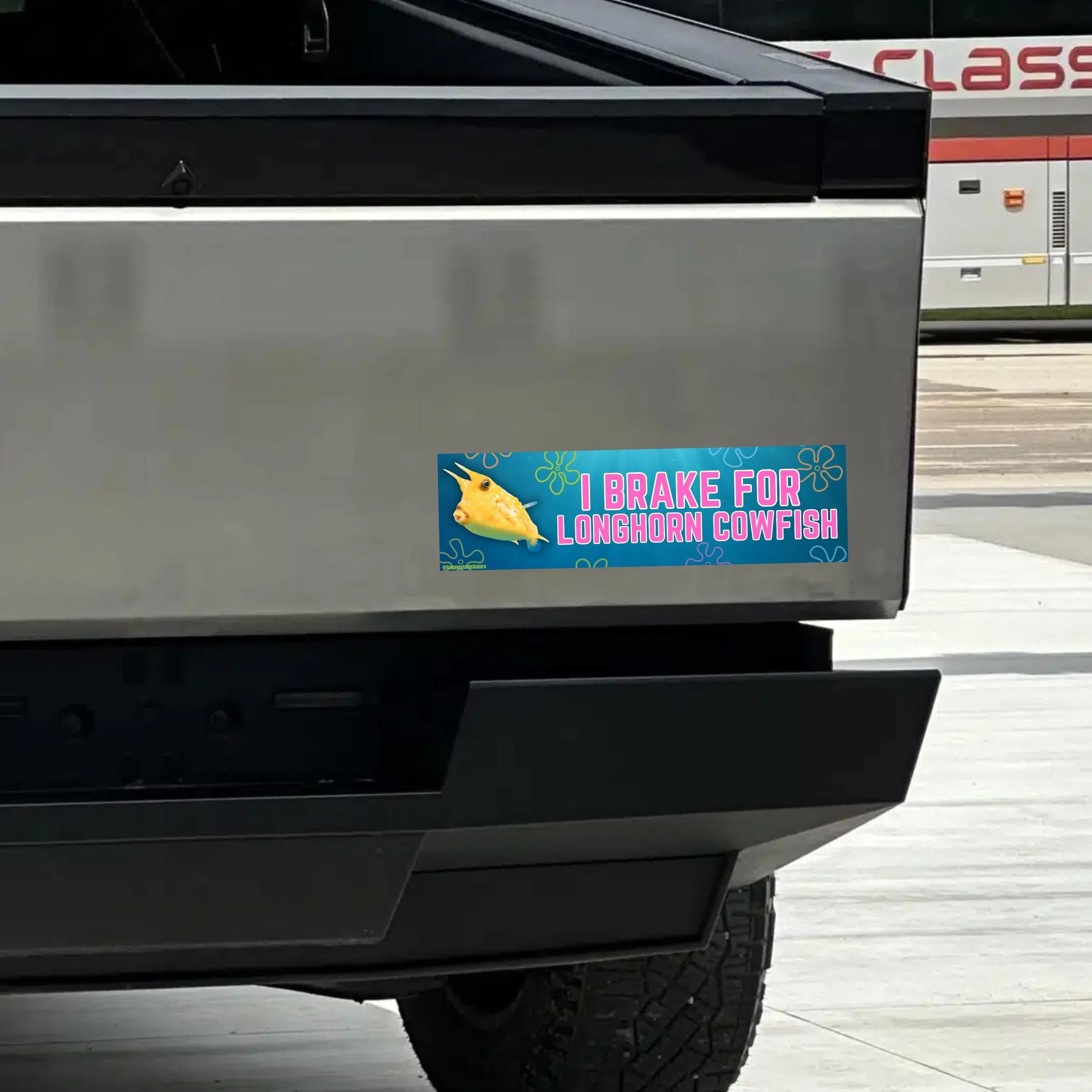 I Brake for Longhorn Cowfish | Cute Car Bumper Sticker or Magnet | Funny | 8.5" x 2.5" | Premium Weather-proof Waterproof Vinyl