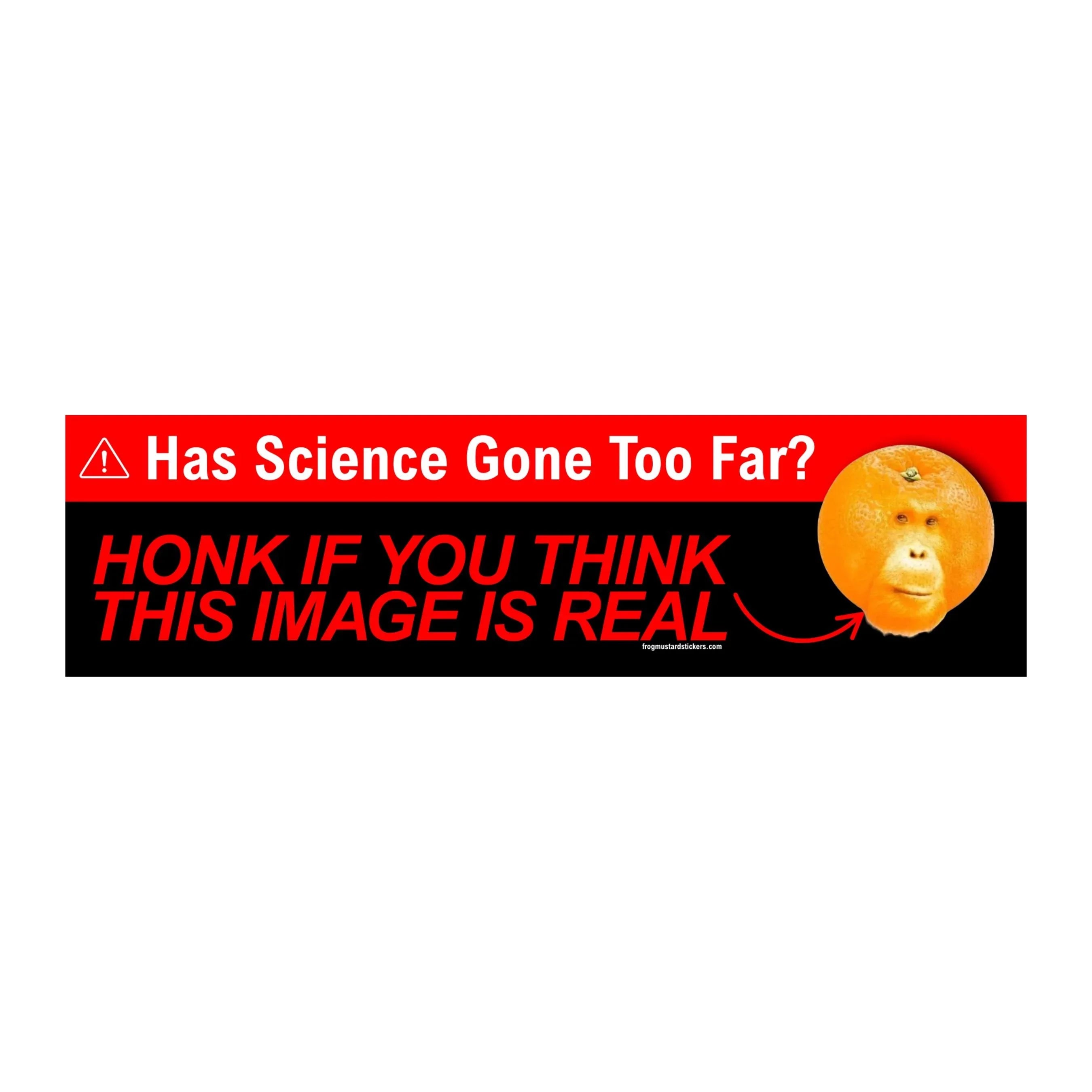 Has Science Gone Too Far? Orange-utan Bumper Sticker or Magnet | Funny Bumper Sticker | 8.5" x 2.5" | Premium Weather-proof Waterproof Vinyl