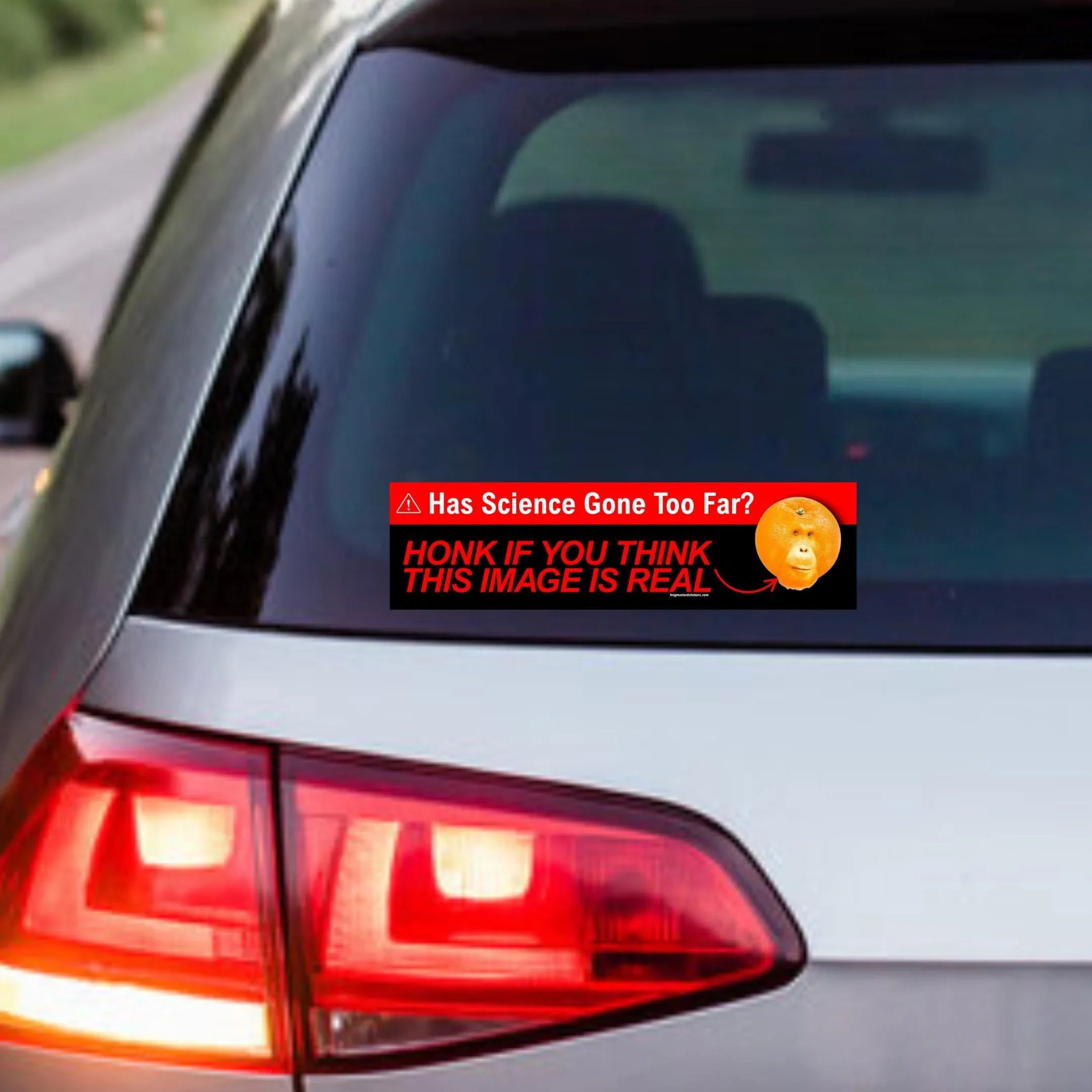 Has Science Gone Too Far? Orange-utan Bumper Sticker or Magnet | Funny Bumper Sticker | 8.5" x 2.5" | Premium Weather-proof Waterproof Vinyl