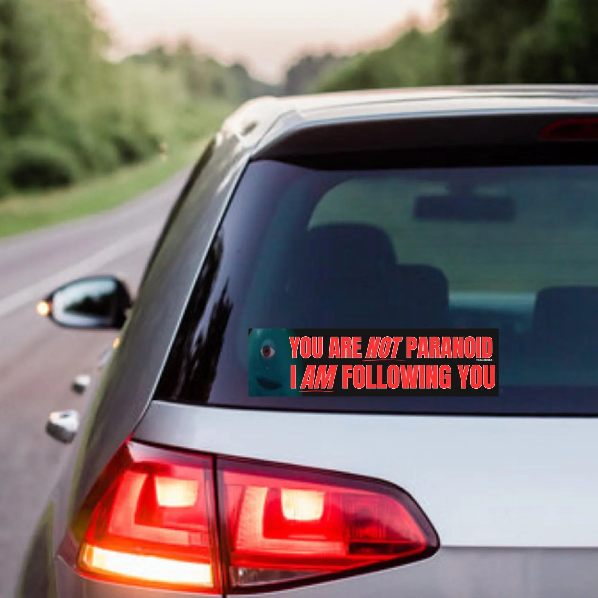 You're NOT Paranoid - I AM Following You | Car Sticker or Magnet | 8.5" x 2.5" | Meme Sticker | Funny Satire| Bumper Sticker OR Magnet