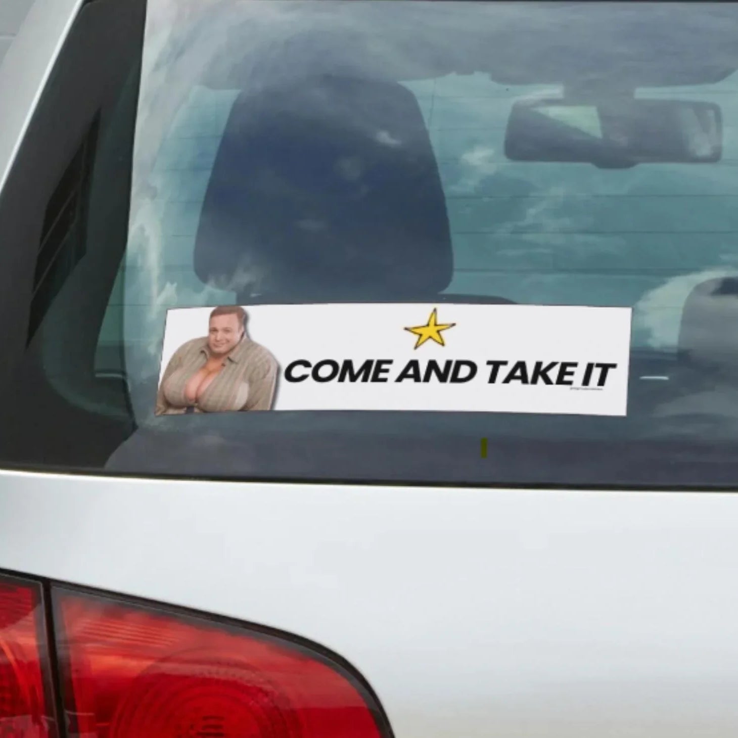 Funny weatherproof vinyl car bumper sticker with 'Come And Take It' text, yellow star, and humorous photo