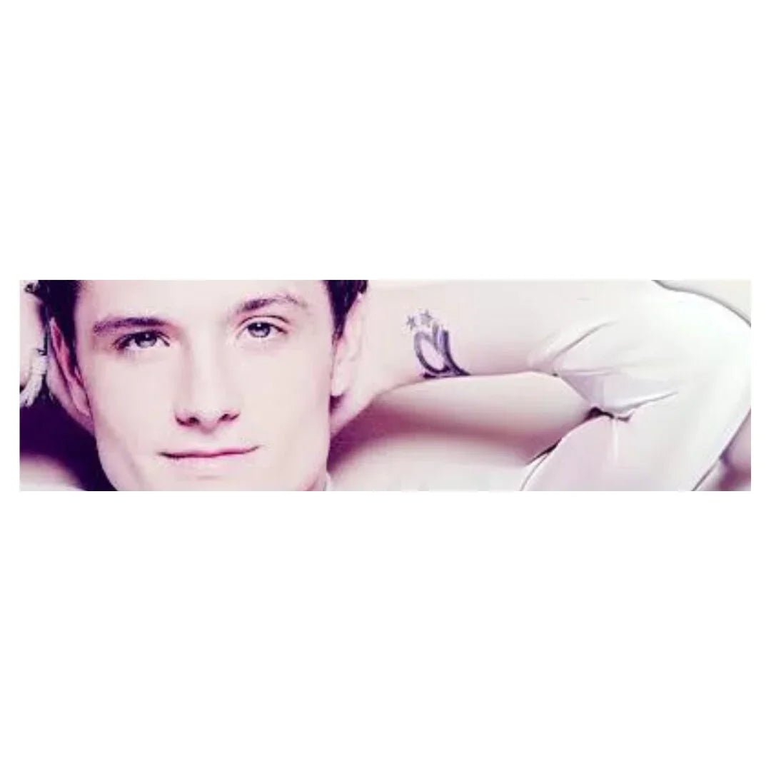 Josh Hutcherson Whistle Edit Meme Decal - Frog Mustard Stickers
