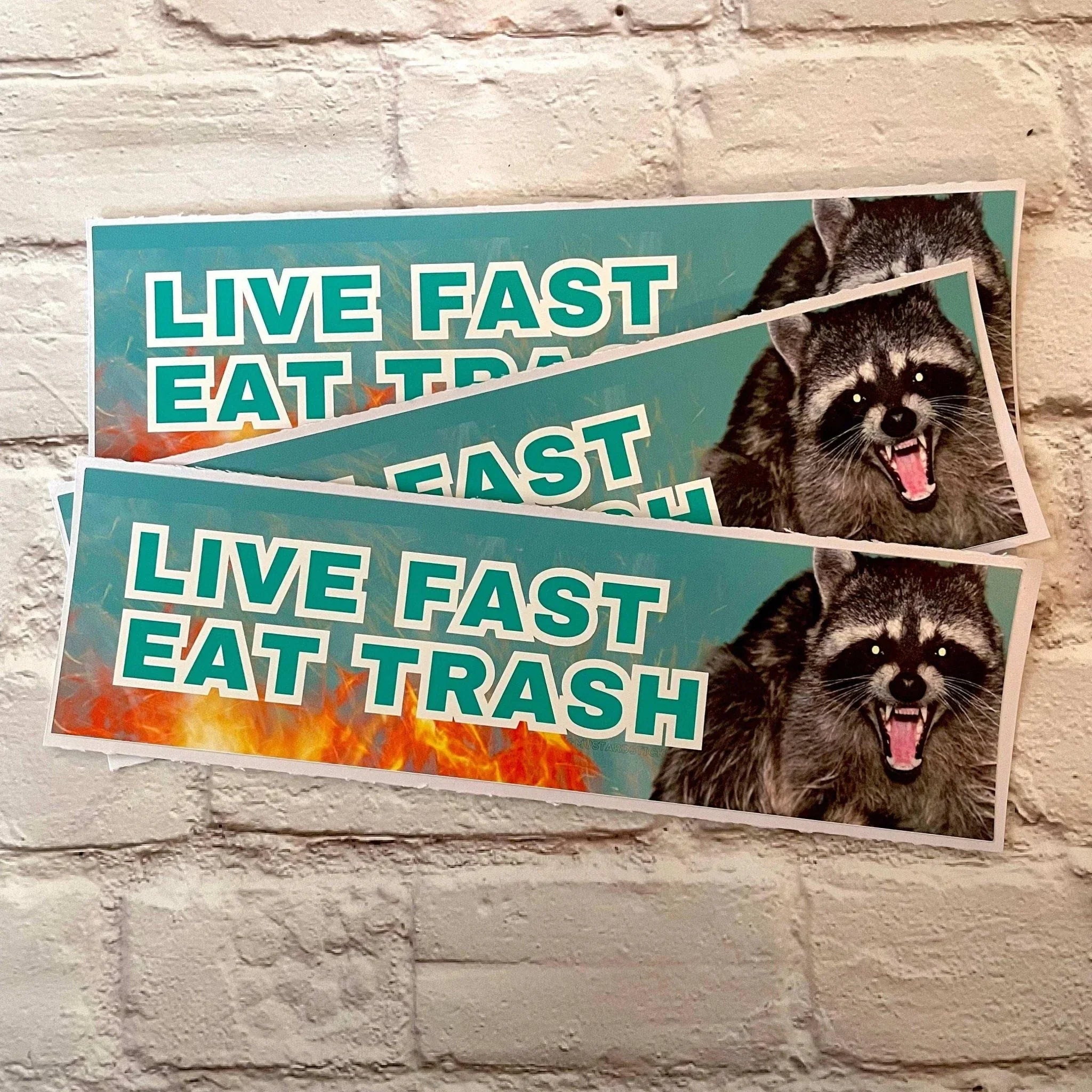 Live Fast, Eat Trash Racoon - Frog Mustard Stickers