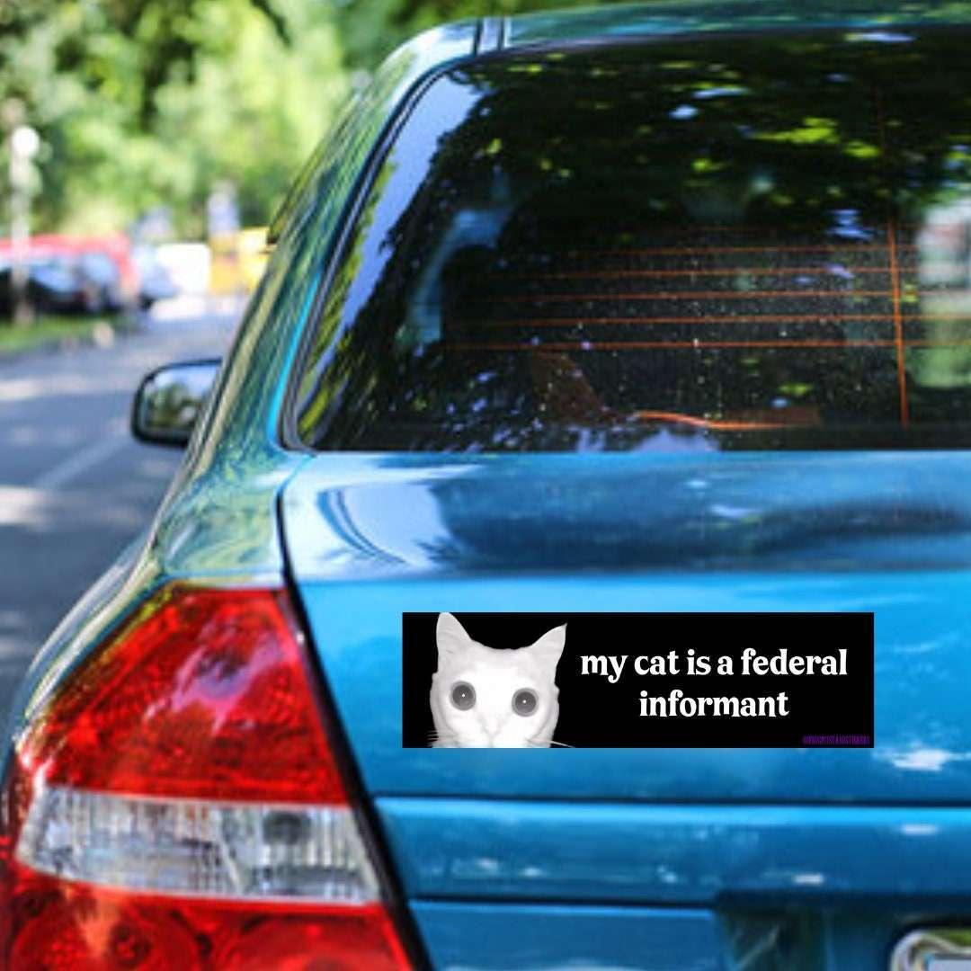 My Cat is a Federal Informant - Frog Mustard Stickers
