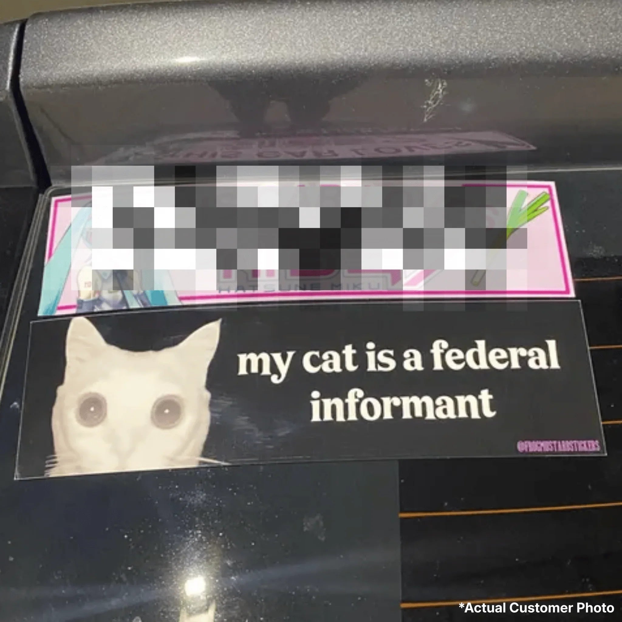My Cat is a Federal Informant - Frog Mustard Stickers
