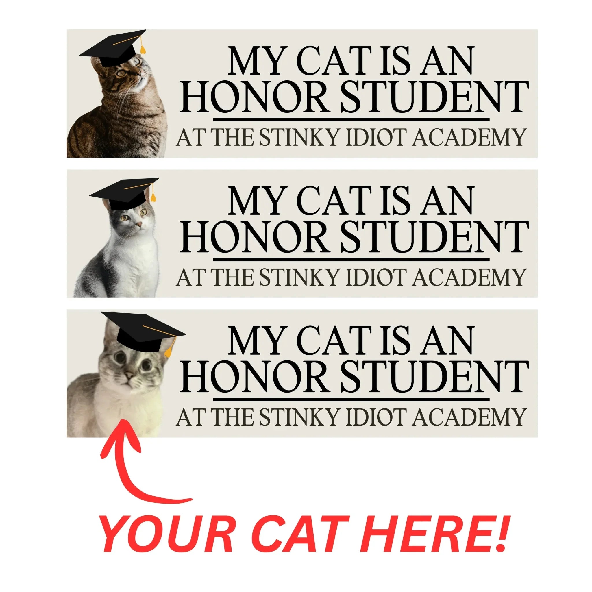 My Cat is an Honor Student at the Stinky Idiot Academy (Choose the default cat shown, or upgrade to use your own cat photo.) - Frog Mustard Stickers