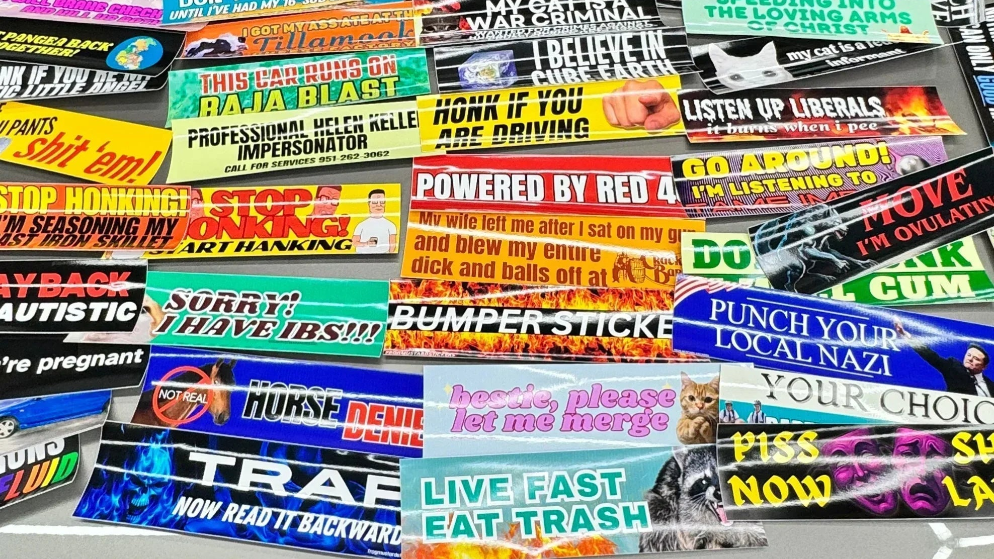 Mystery Bumper Sticker or Magnet - Frog Mustard Stickers