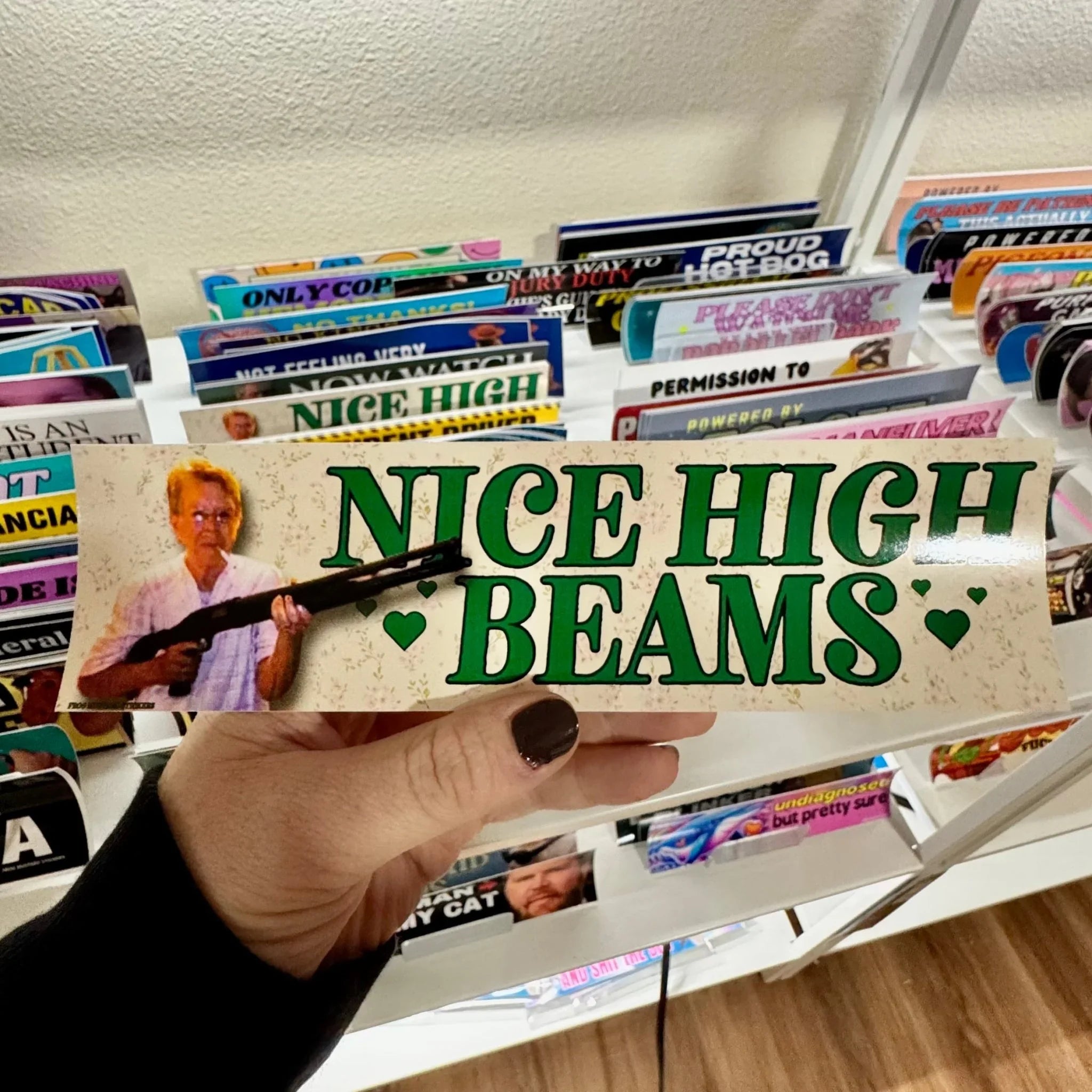 Nice High Beams - Frog Mustard Stickers