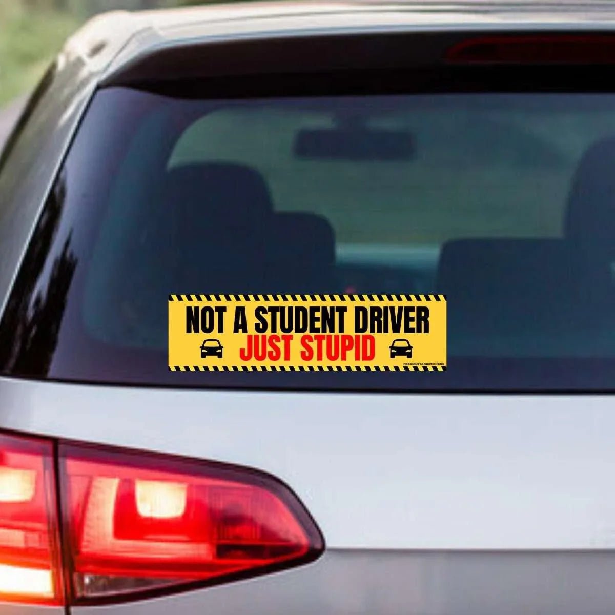 Not a Student Driver, Just Stupid - Frog Mustard Stickers