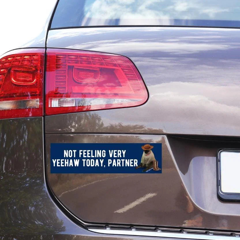 Not Feeling Very ✨ Yeehaw ✨ Today, Partner - Frog Mustard Stickers