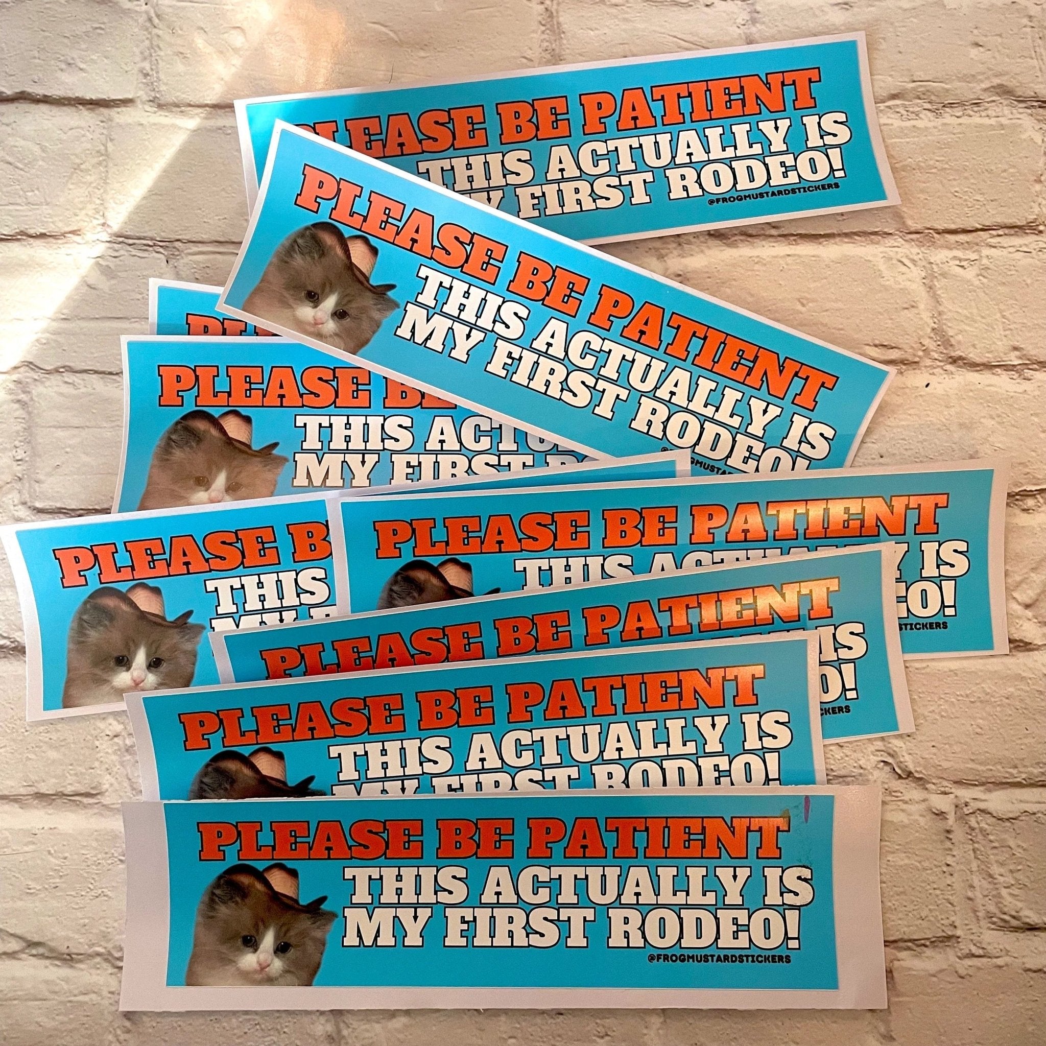 Please Be Patient, This Actually is My First Rodeo - Cute Cat Decal - Frog Mustard Stickers