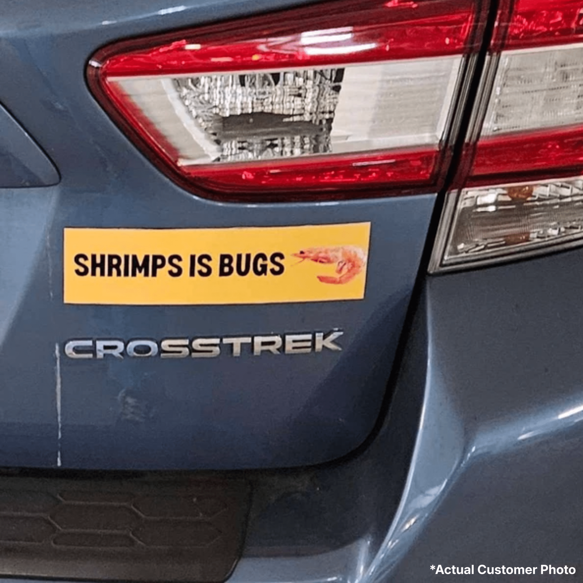 Shrimps is Bugs - Frog Mustard Stickers