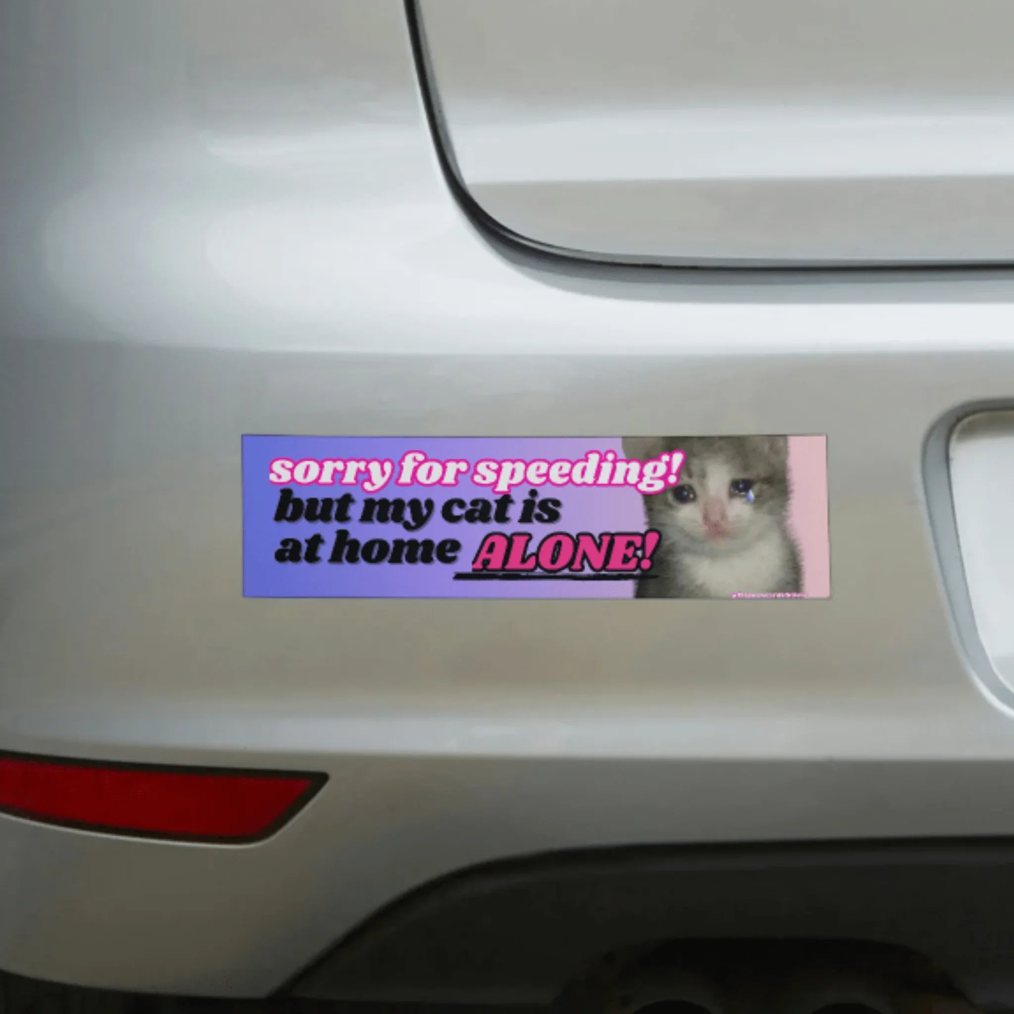 Sorry for Speeding, But My Cat is at Home Alone! - Frog Mustard Stickers
