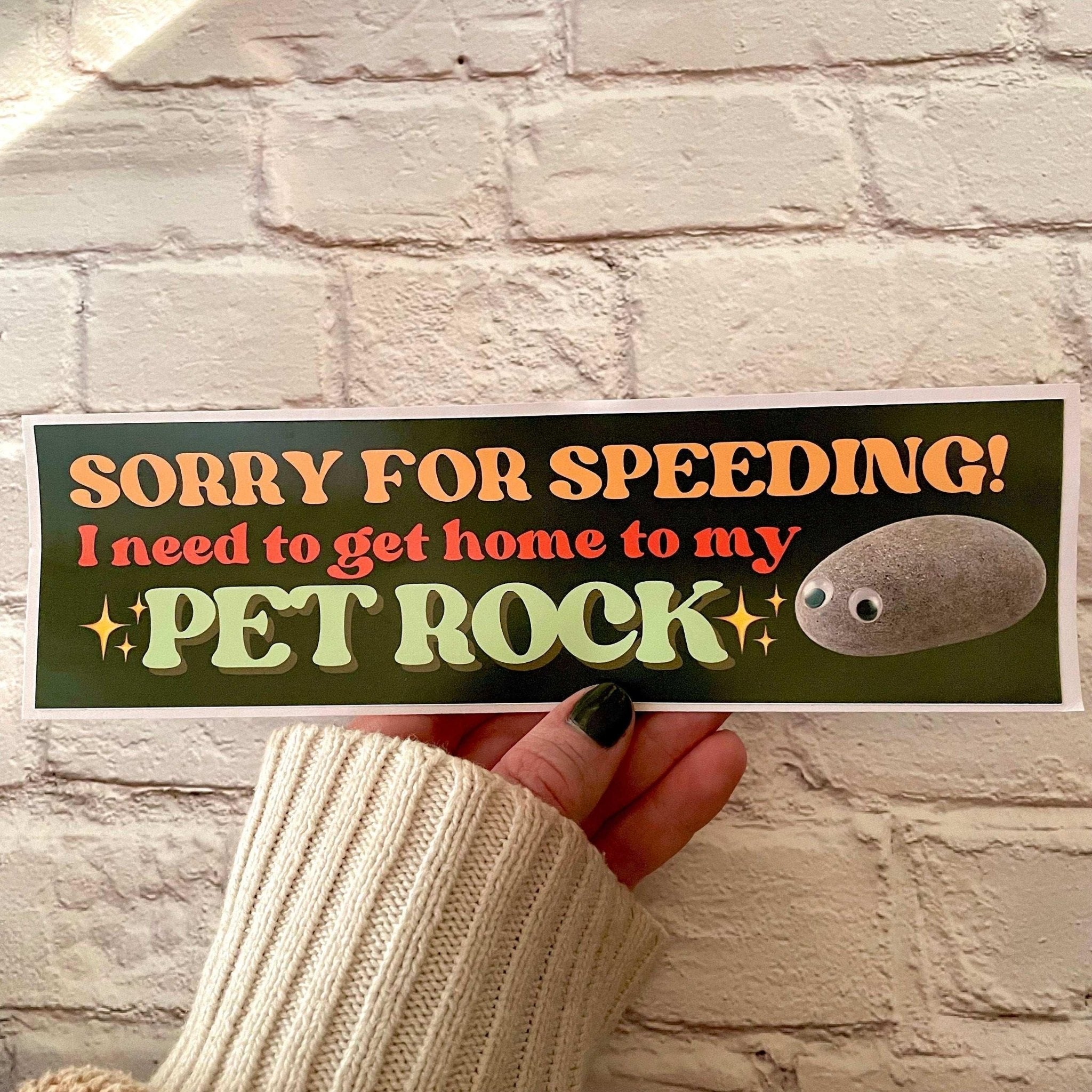 Sorry for Speeding! I Need to Get Home to My Pet Rock - Frog Mustard Stickers