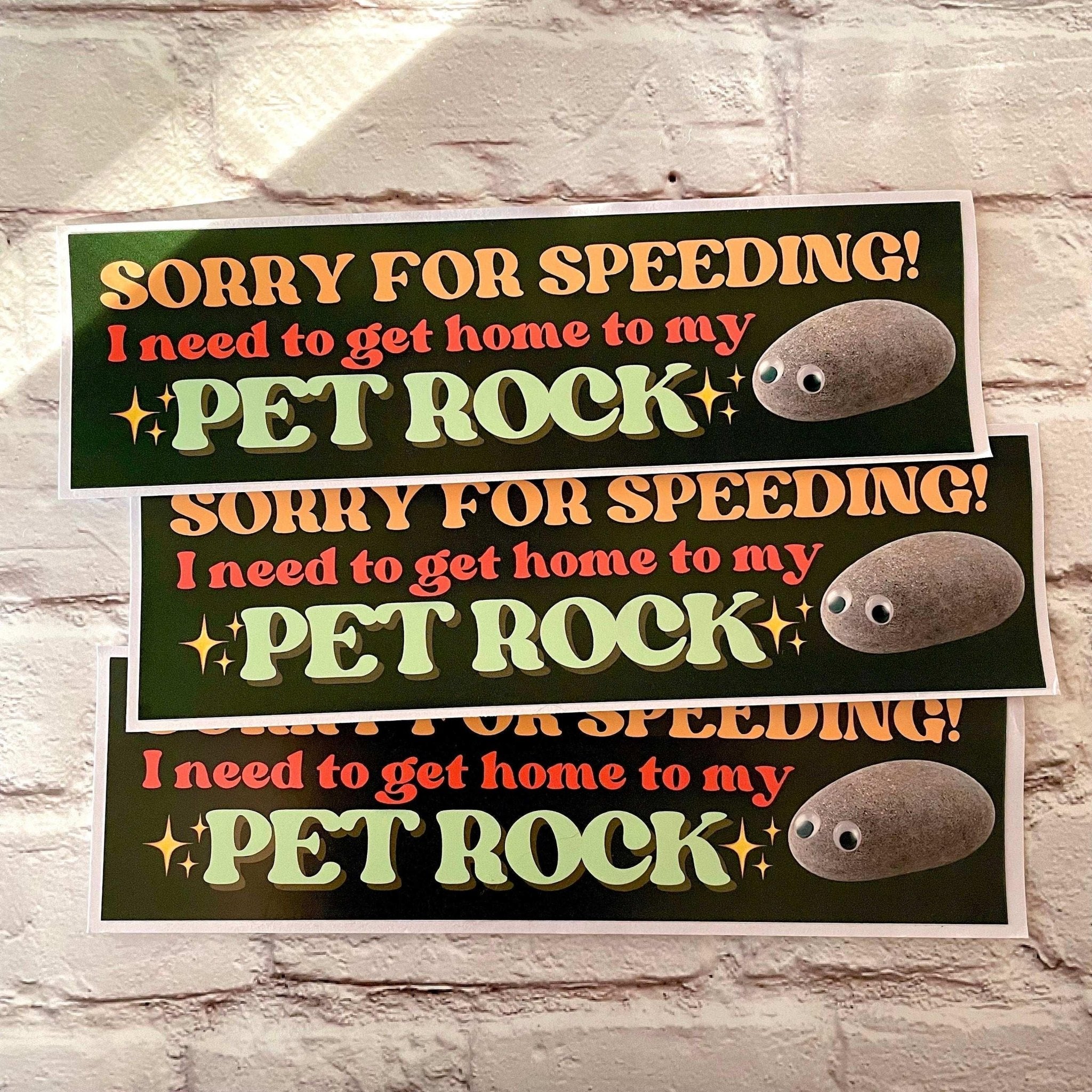 Sorry for Speeding! I Need to Get Home to My Pet Rock - Frog Mustard Stickers