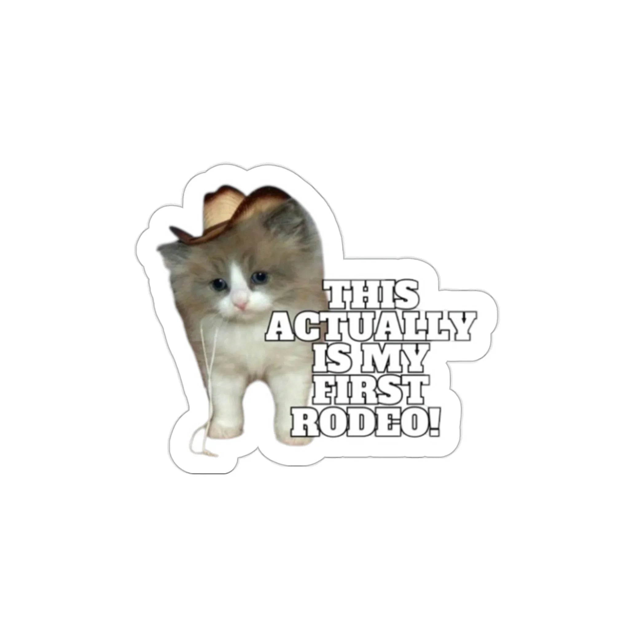 This Actually Is My First Rodeo | Cowboy Cat Die - Cut - Frog Mustard Stickers