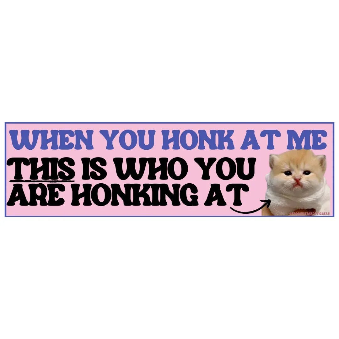 When You Honk at Me, This Is Who You Are Honking At (Cute Sad Cat) - Frog Mustard Stickers