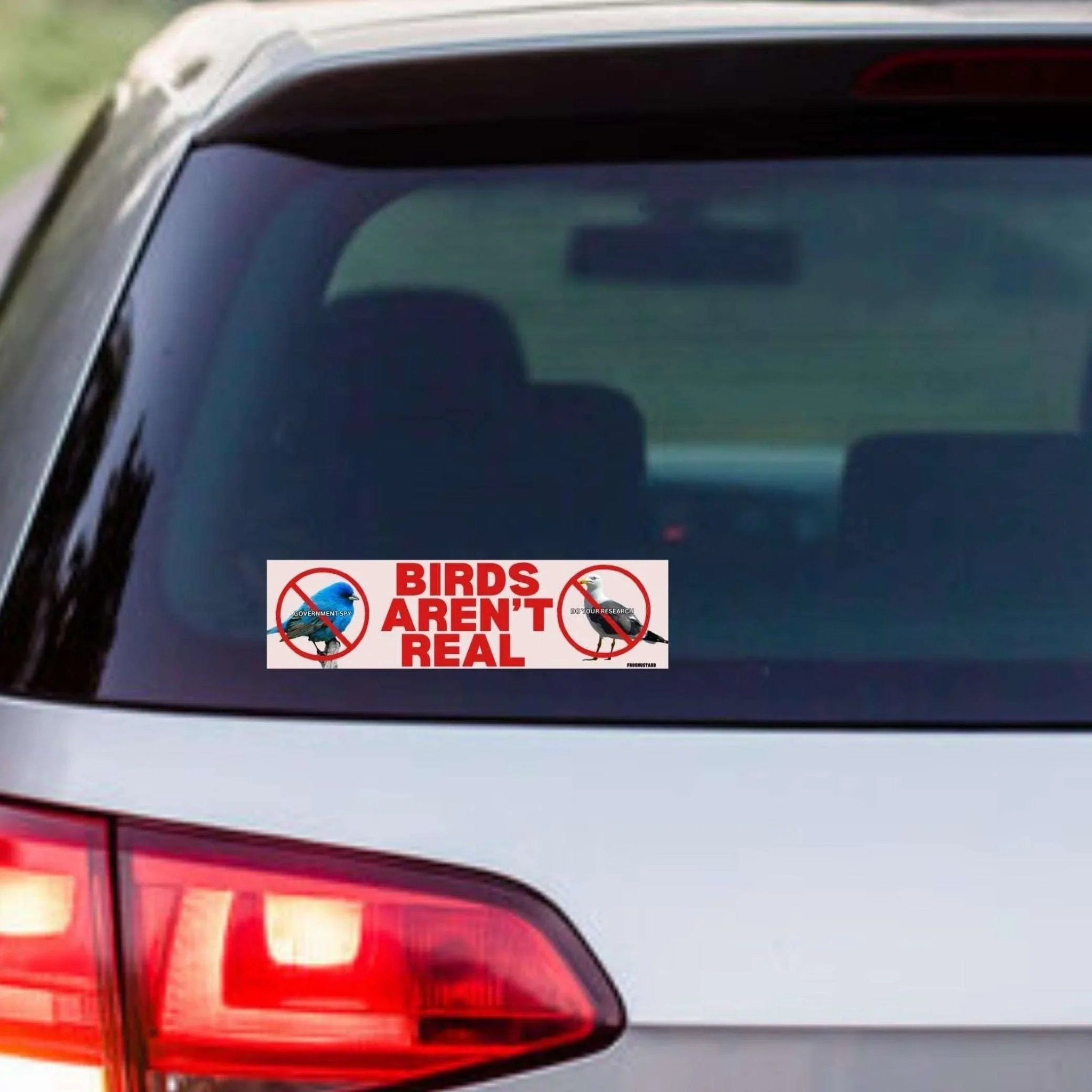 Birds Aren't Real - Frog Mustard Stickers
