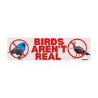 Birds Aren't Real - Frog Mustard Stickers