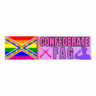 Confederate F(l)ag - Frog Mustard Stickers