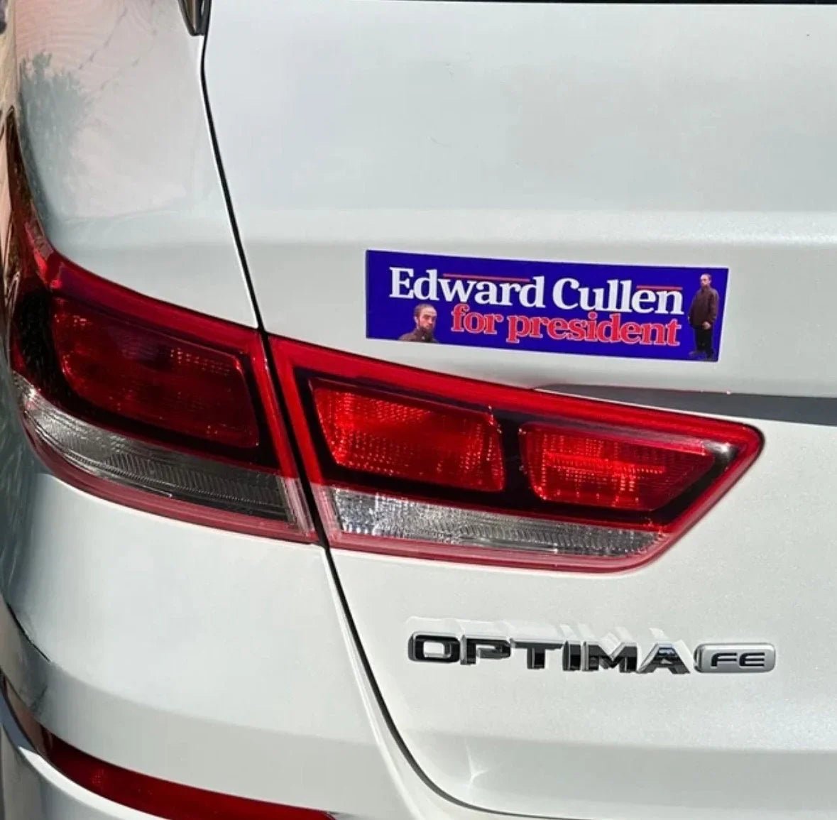 Edward Cullen for President - Frog Mustard Stickers