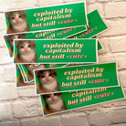 Exploited by Capitalism but Still Cute - Frog Mustard Stickers