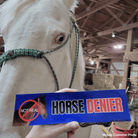 Horse DENIER - Frog Mustard Stickers