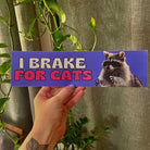 I Brake For Cats - Frog Mustard Stickers