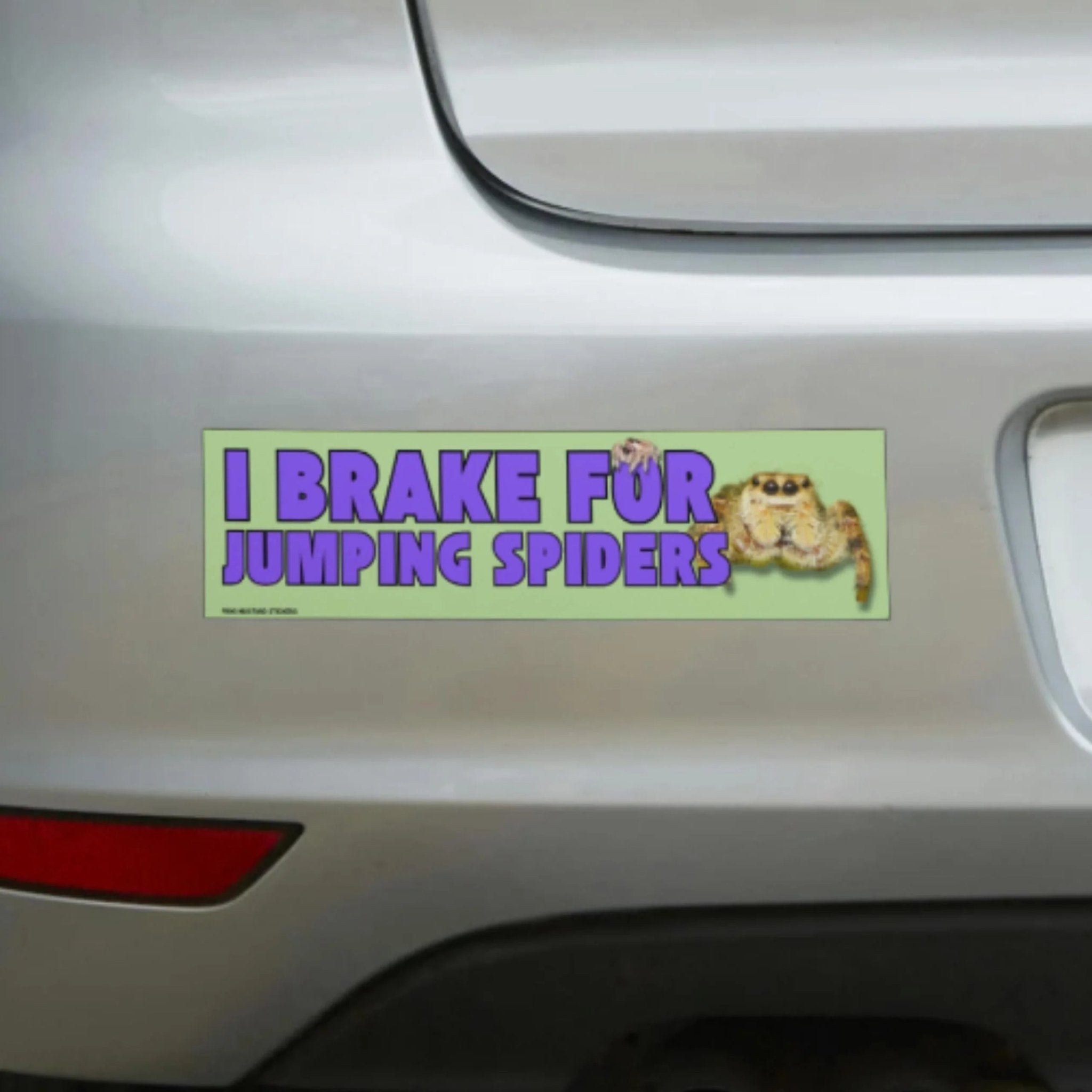 I Brake for Jumping Spiders - Frog Mustard Stickers