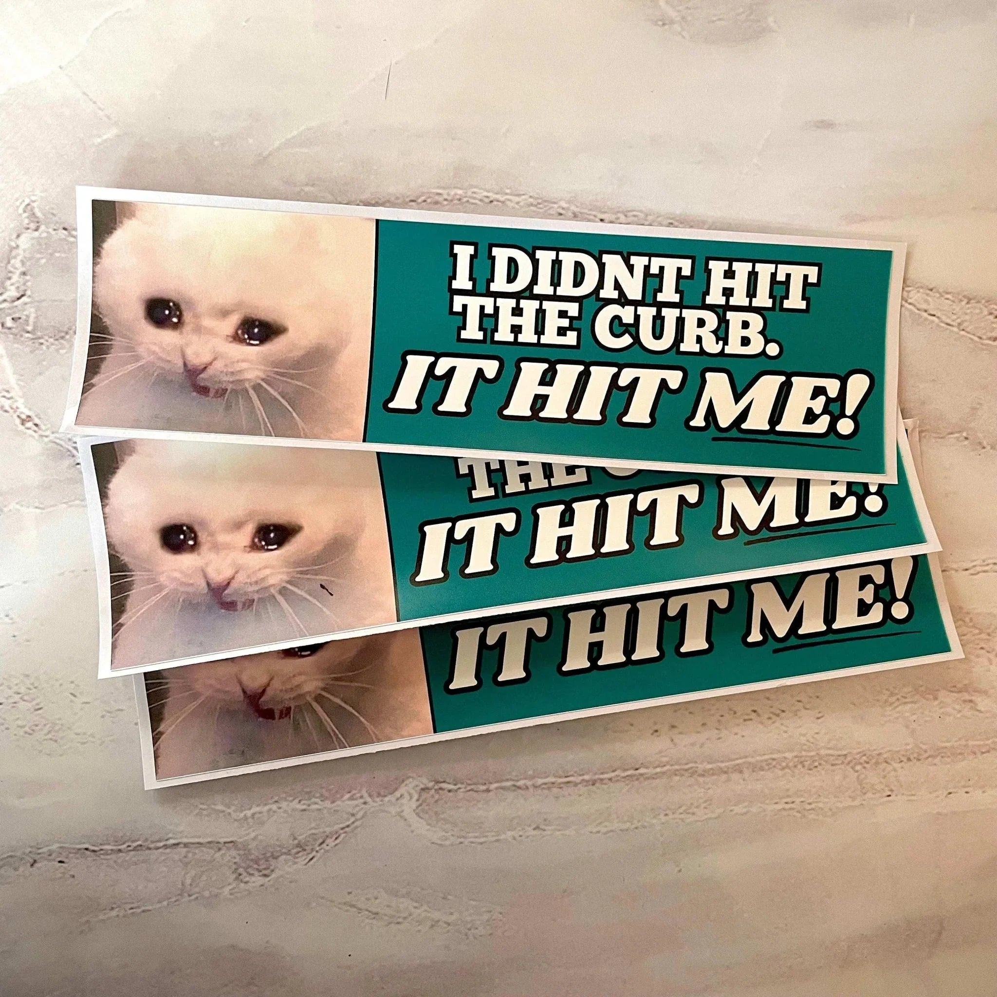 I Didn't Hit the Curb - it hit ME! Cat Decal - Frog Mustard Stickers