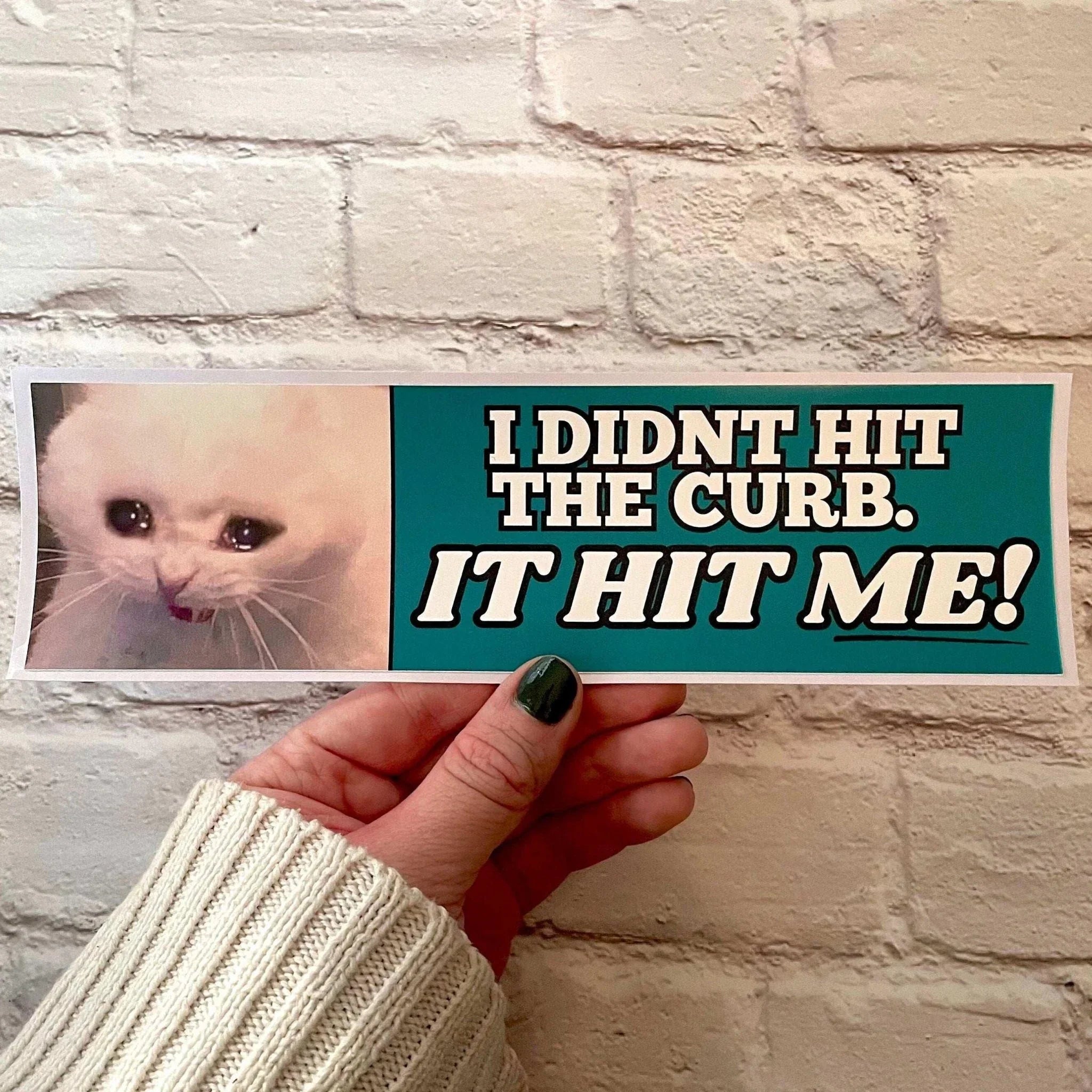 I Didn't Hit the Curb - it hit ME! Cat Decal - Frog Mustard Stickers