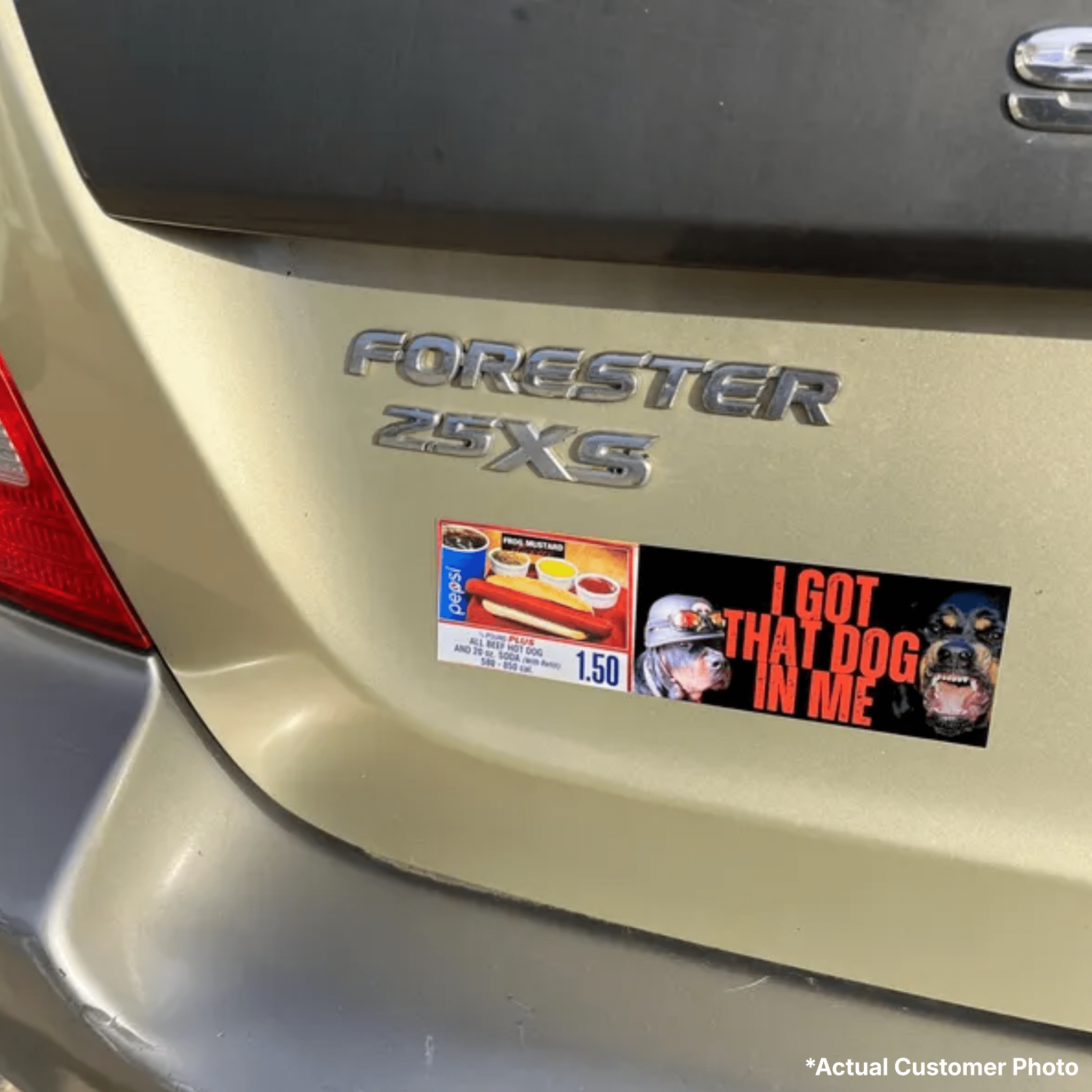 I Got That Dog In Me | Costco - Frog Mustard Stickers
