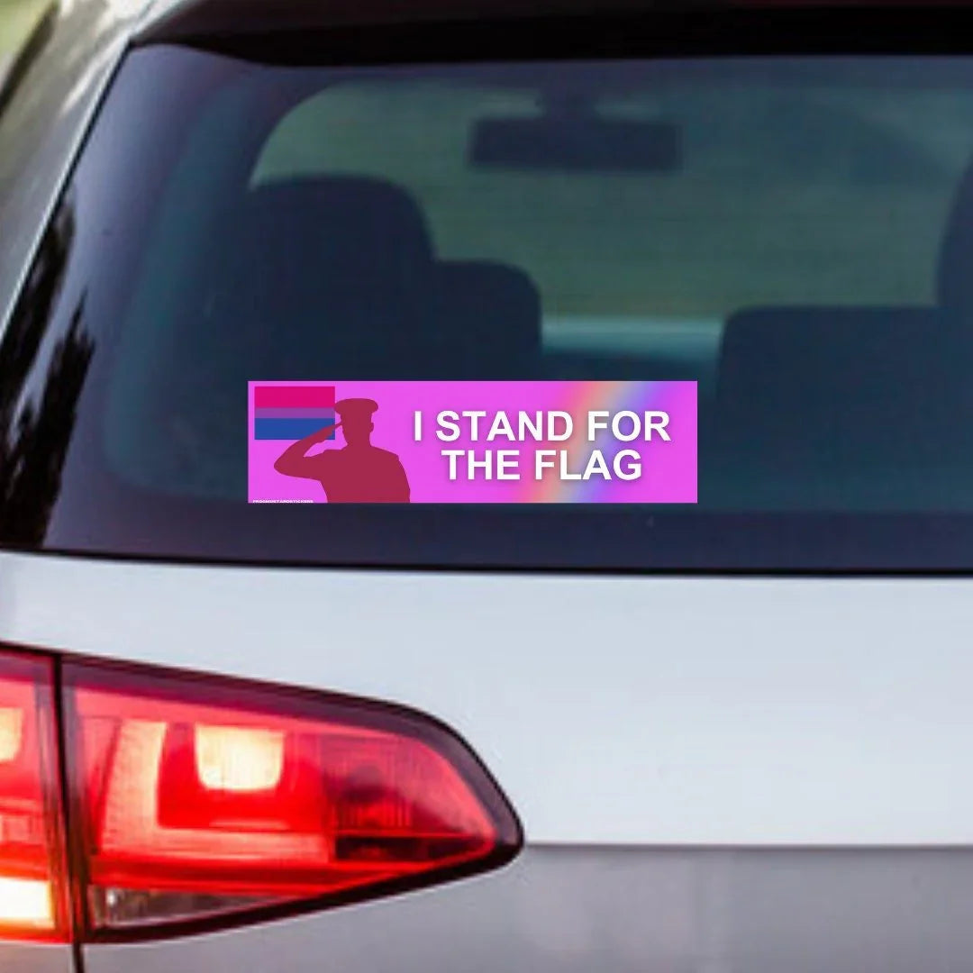 I Stand for the (Bisexual) Flag - Frog Mustard Stickers