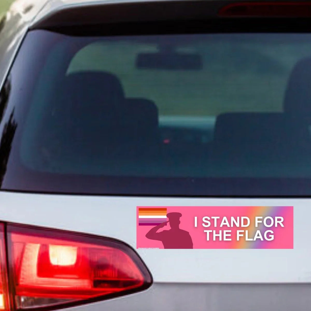 I Stand for the (Lesbian) Flag - Frog Mustard Stickers