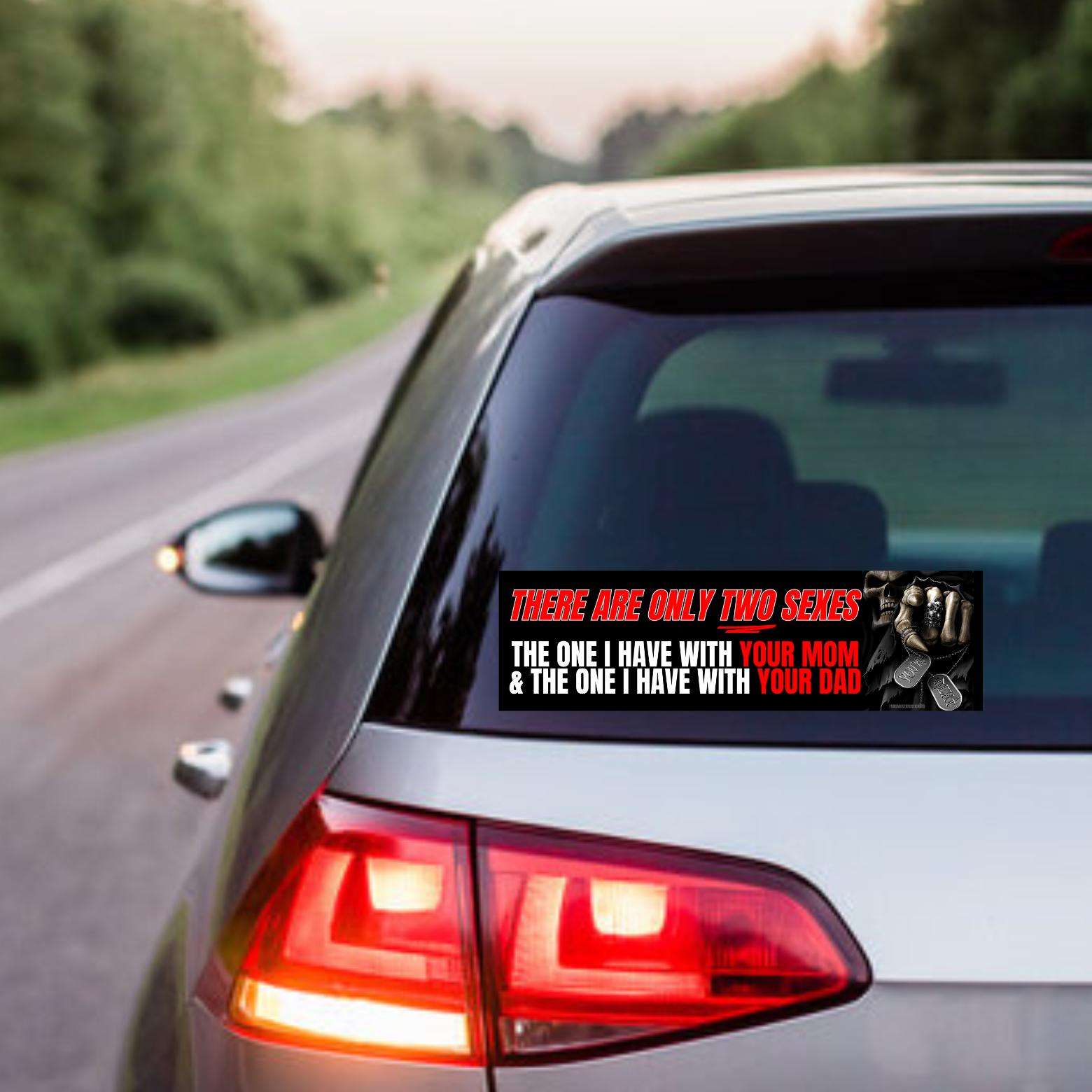 There are Only Two Sexes | Badass Skull Grim Reaper Skeleton | Bumper Sticker OR Magnet | Satire | 8.5" x 2.5" Premium Weather-proof Vinyl