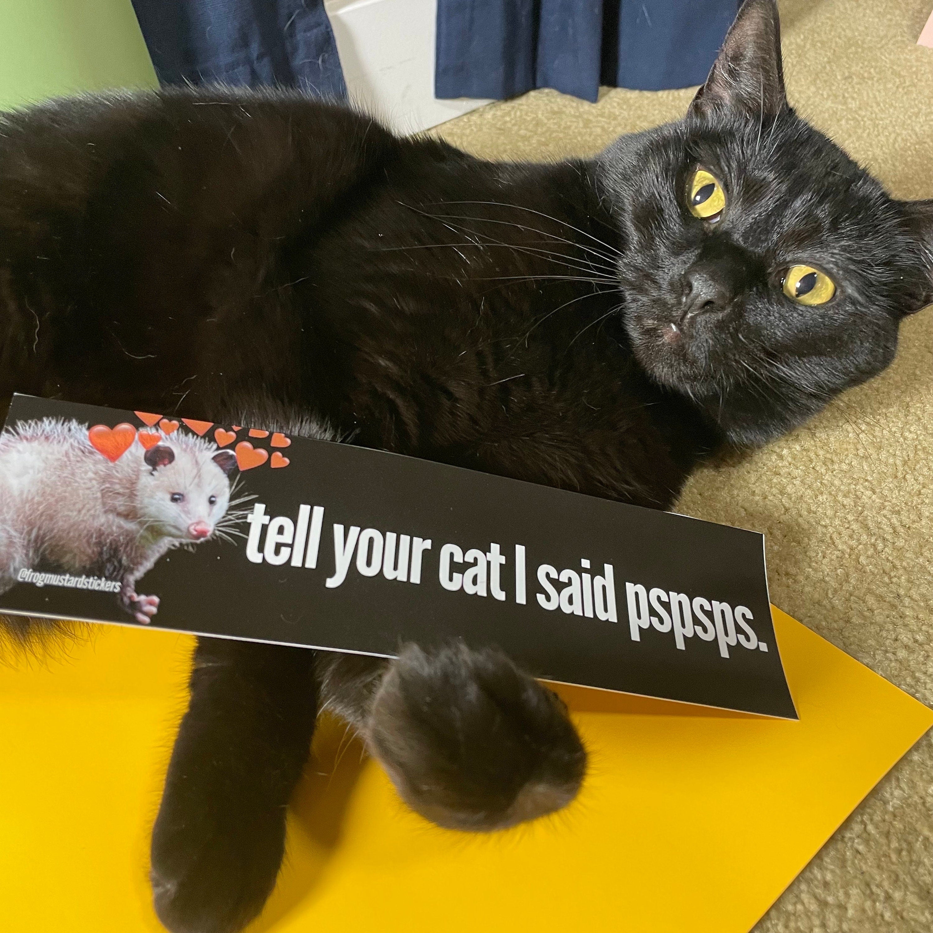 Tell Your Cat I said Pspsps Possum - frogmustard stickers