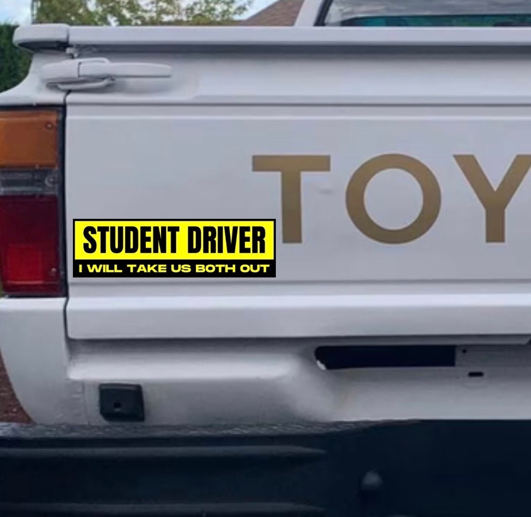 Student Driver I Will Take Us Both Out - frogmustard stickers